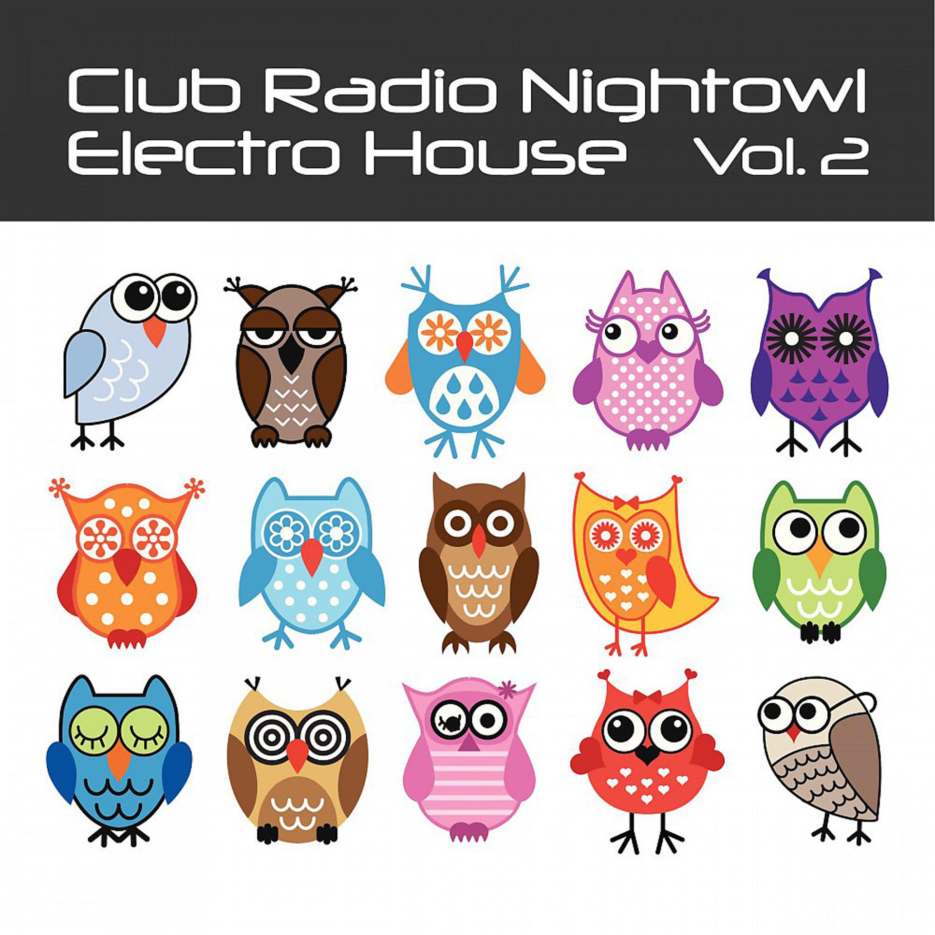 Постер альбома Club Radio Nightowl Electro House, Vol. 2