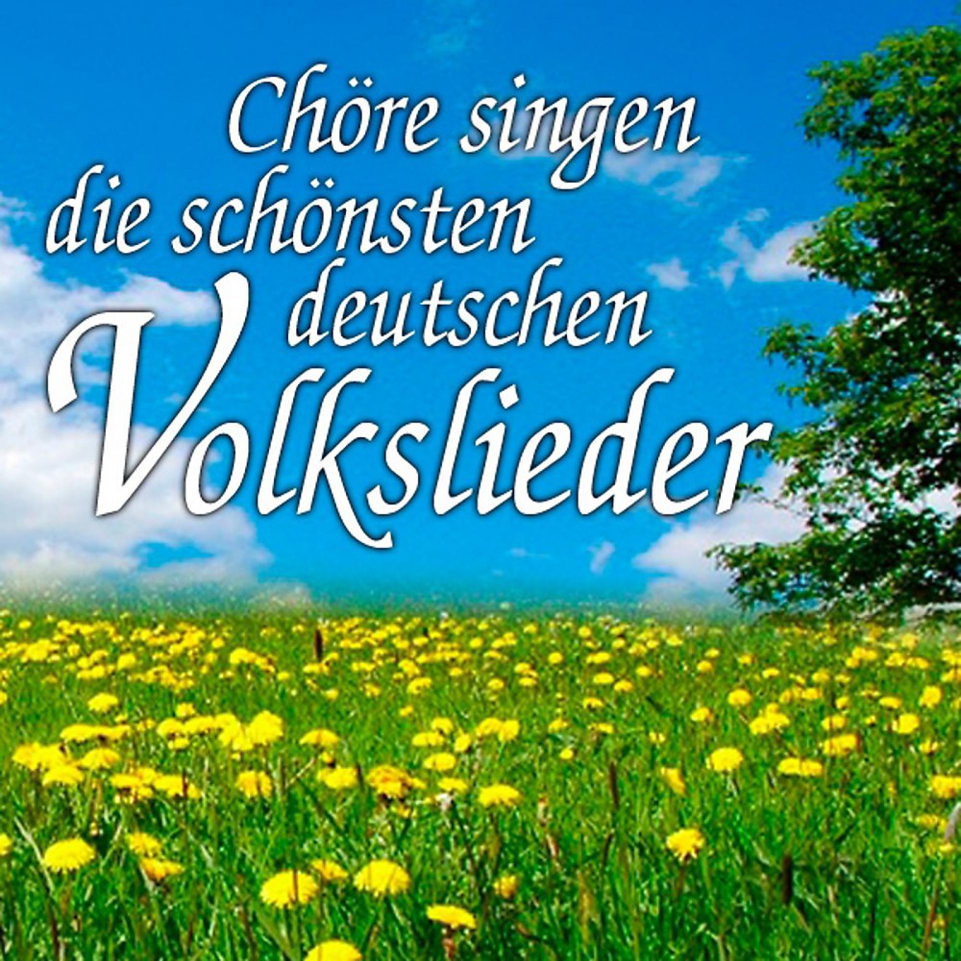 Постер альбома Chöre singen die schönsten deutschen Volkslieder