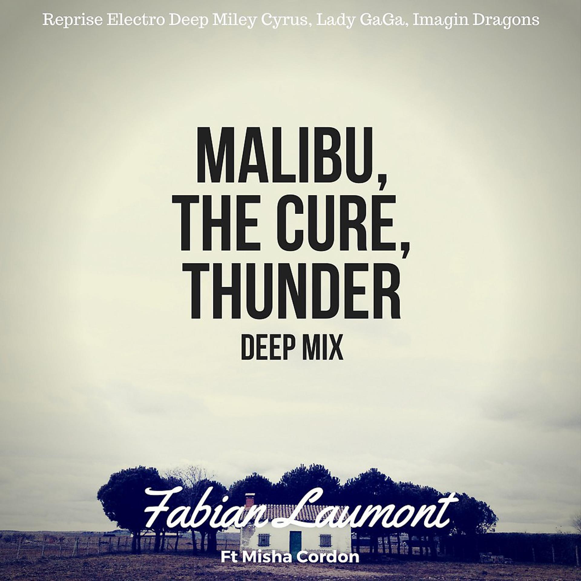 Постер альбома Malibu, the Cure, Thunder Deep Mix (Reprise Electro Deep Miley Cyrus, Lady Gaga, Imagin Dragons)