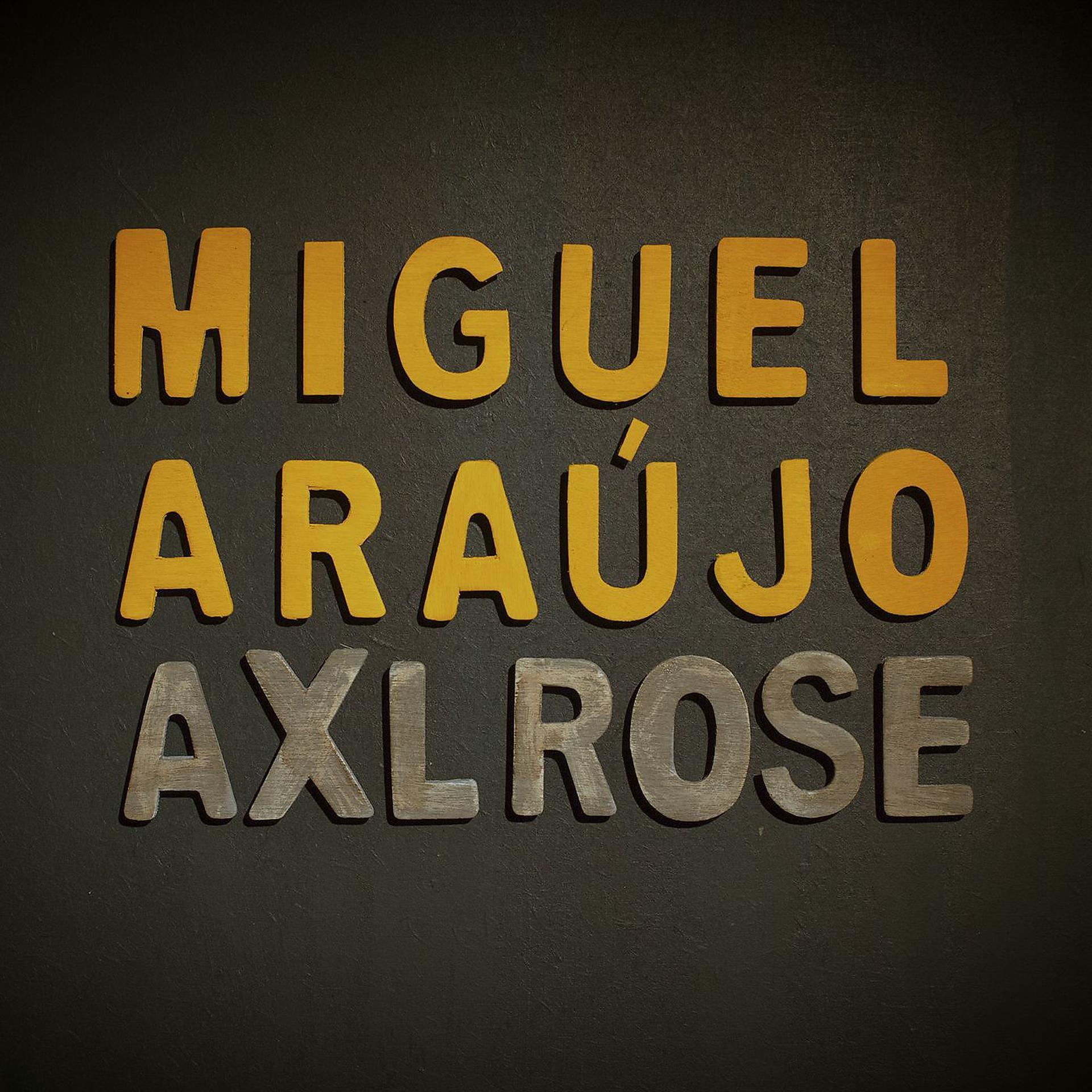 Постер альбома Axl Rose