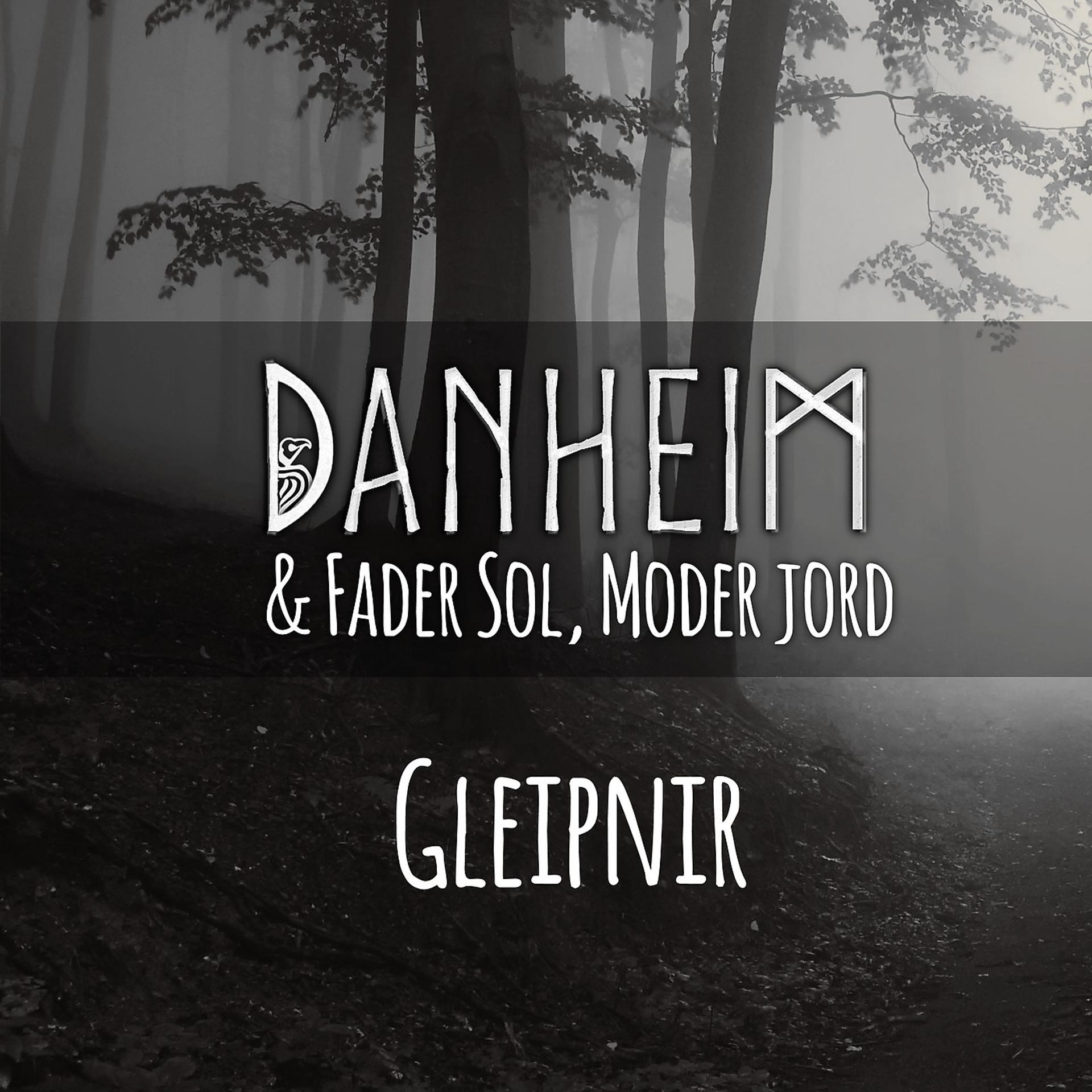 Постер альбома Gleipnir