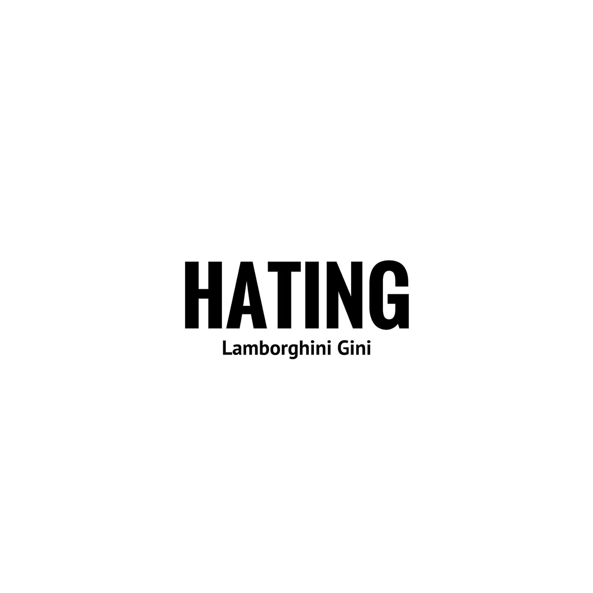 Постер альбома Hating