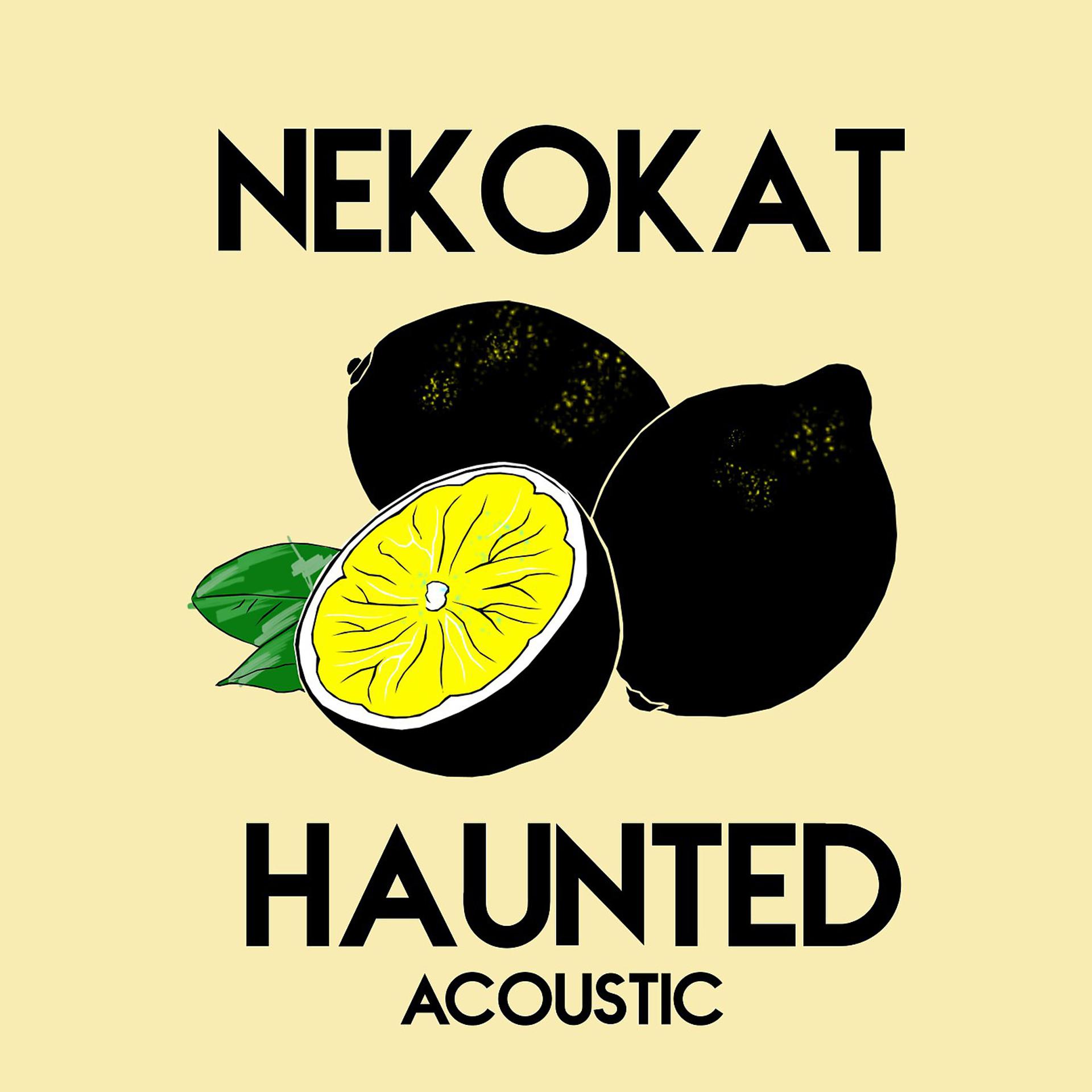 Постер альбома Haunted (Acoustic)