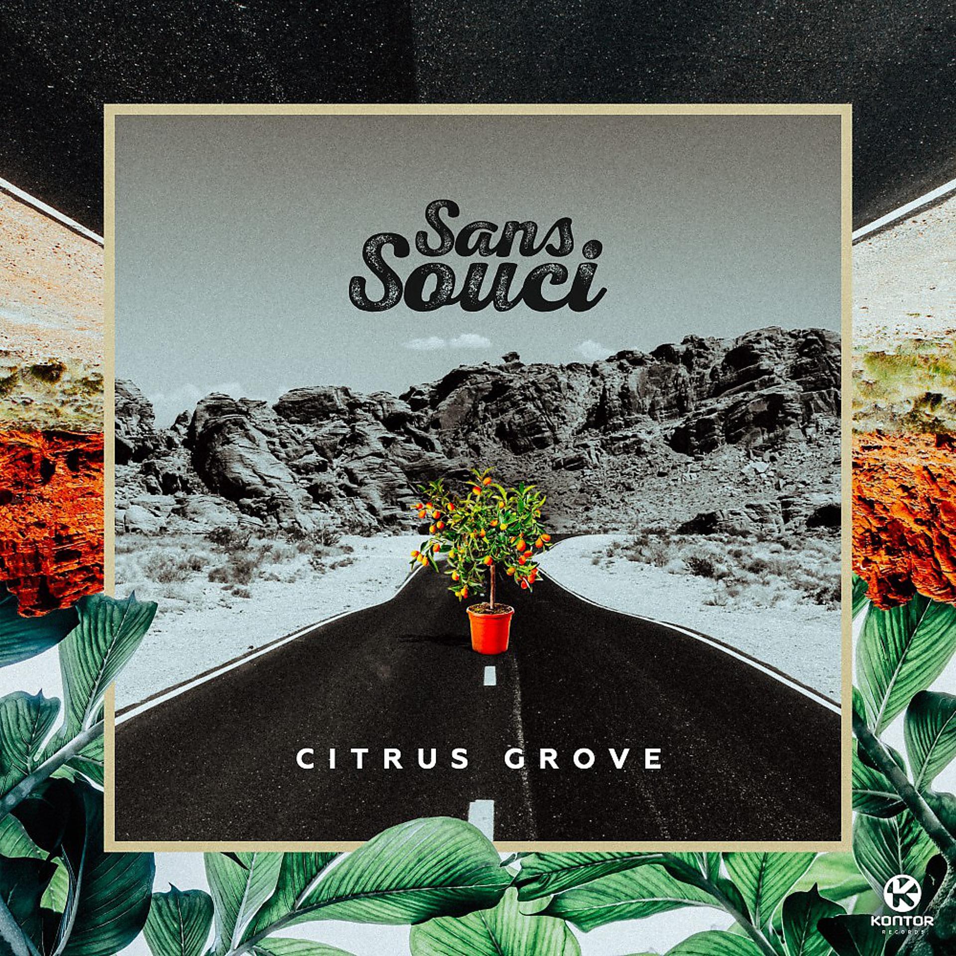Постер альбома Citrus Grove