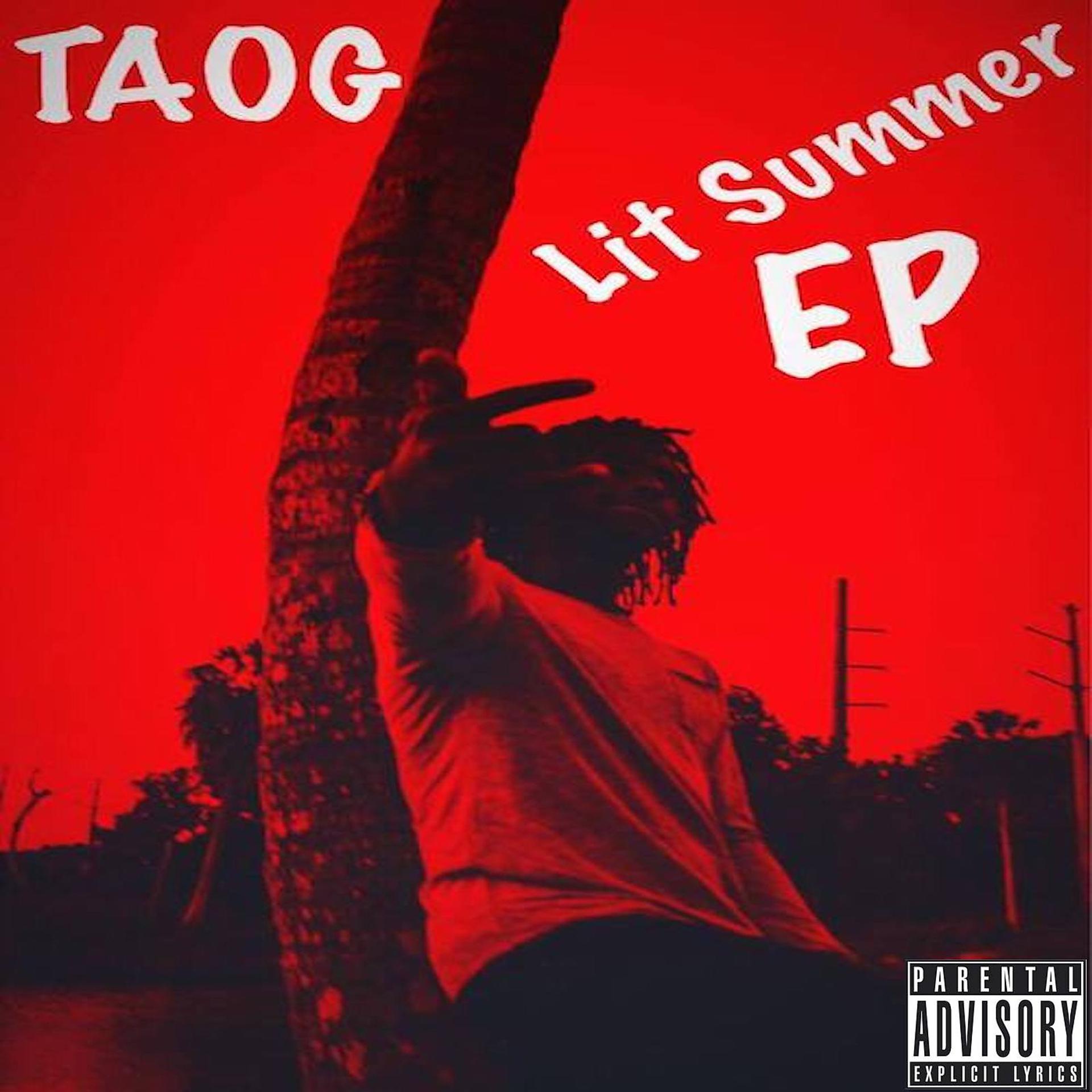 Постер альбома Lit Summer - EP