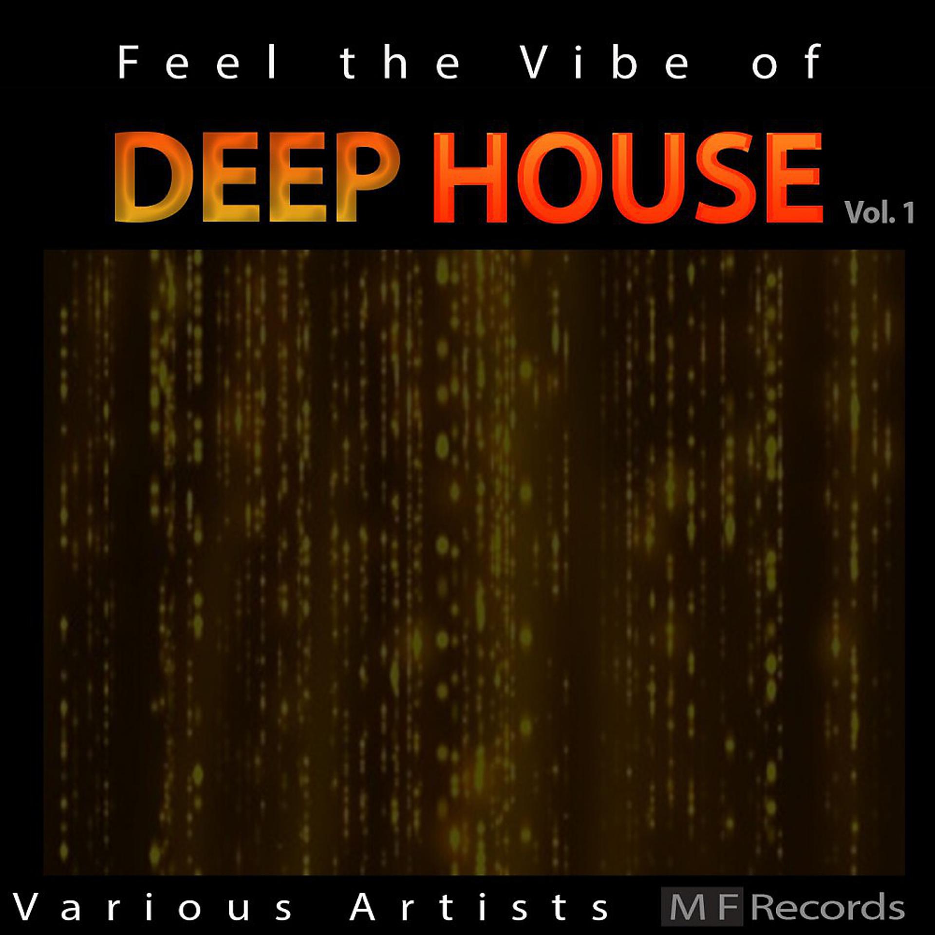 Постер альбома Feel the Vibe of Deep House, Vol. 1