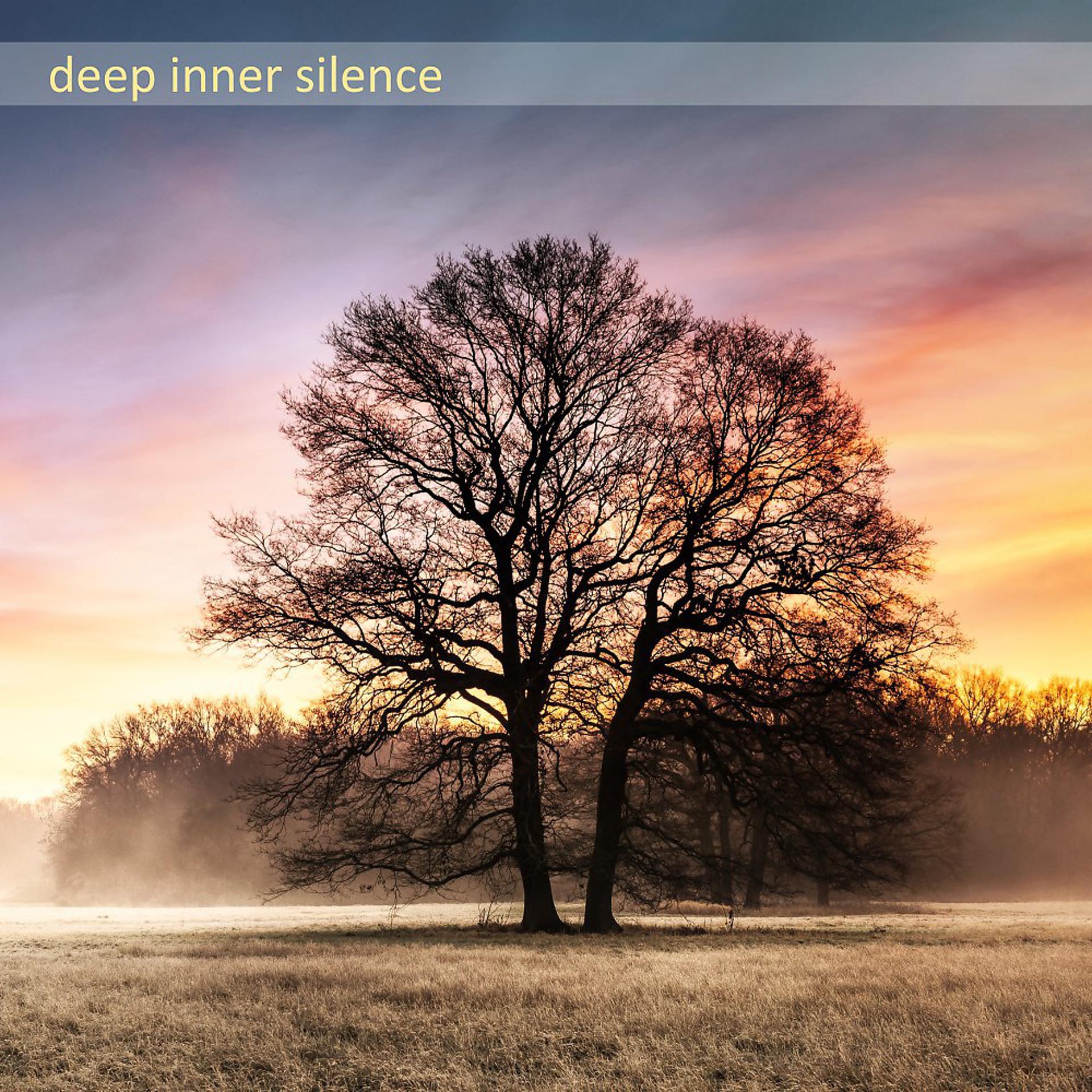 Постер альбома Deep Inner Silence