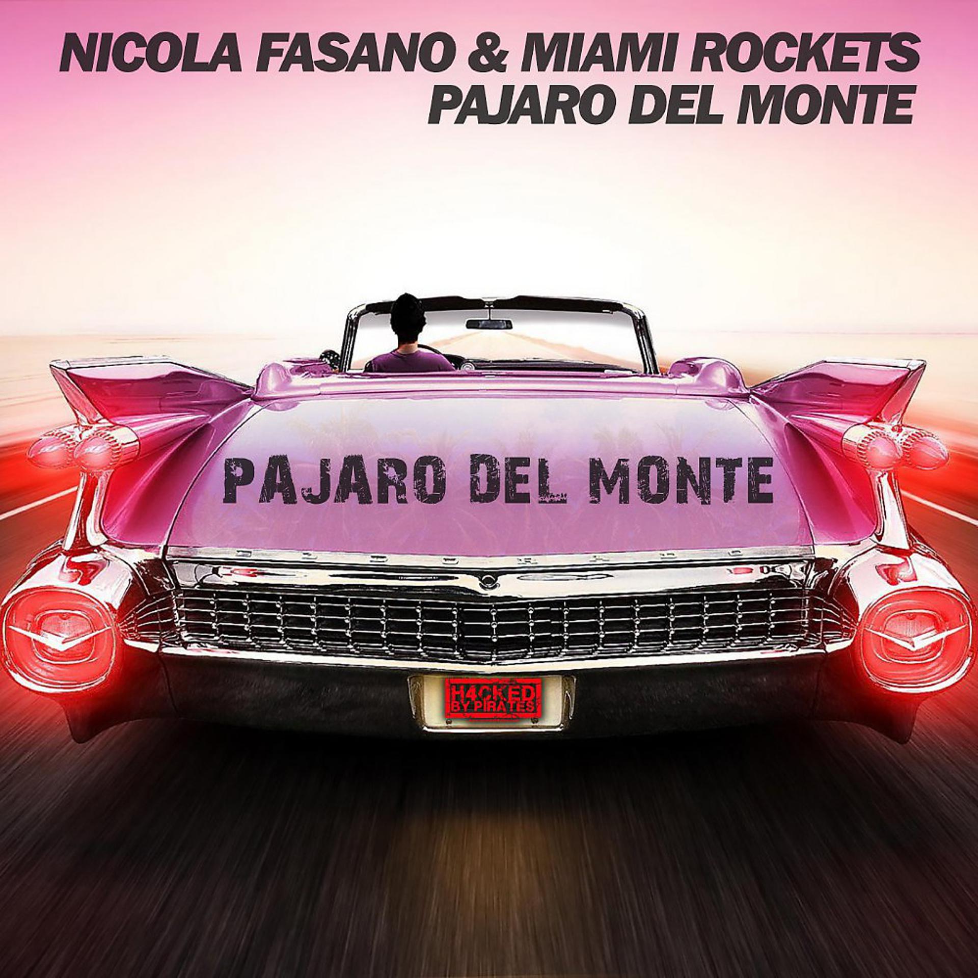 Постер альбома Pajaro del Monte