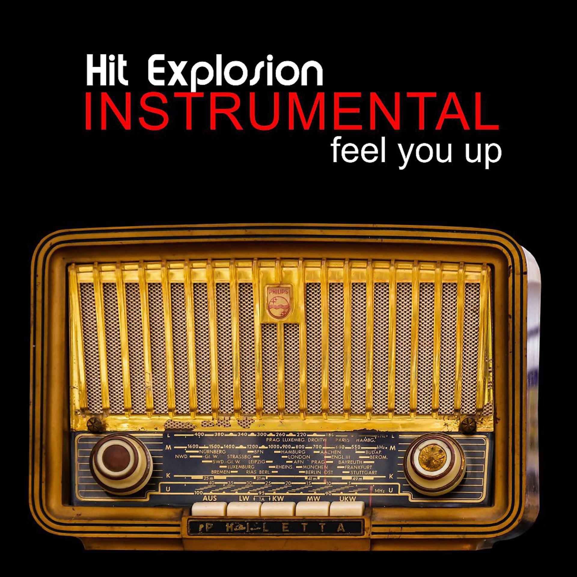Постер альбома Hit Explosion: Instrumental Feel You Up