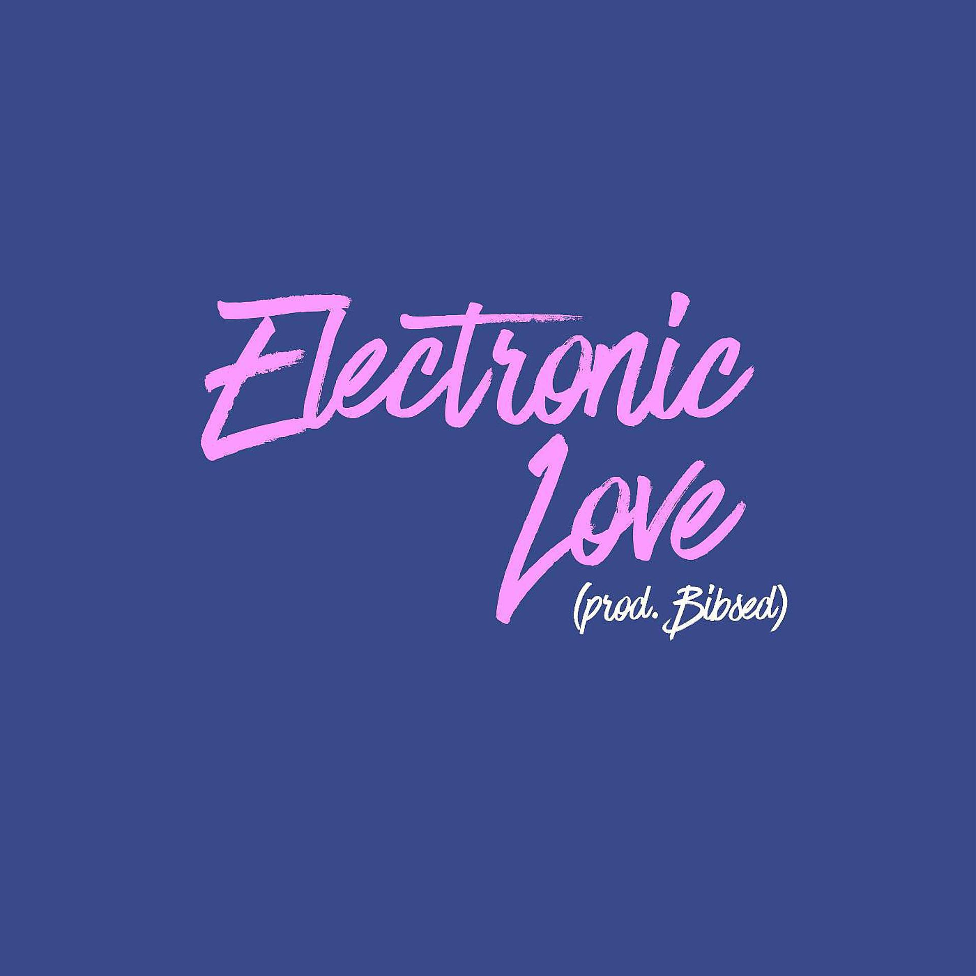 Постер альбома Electronic Love (feat. Slim)