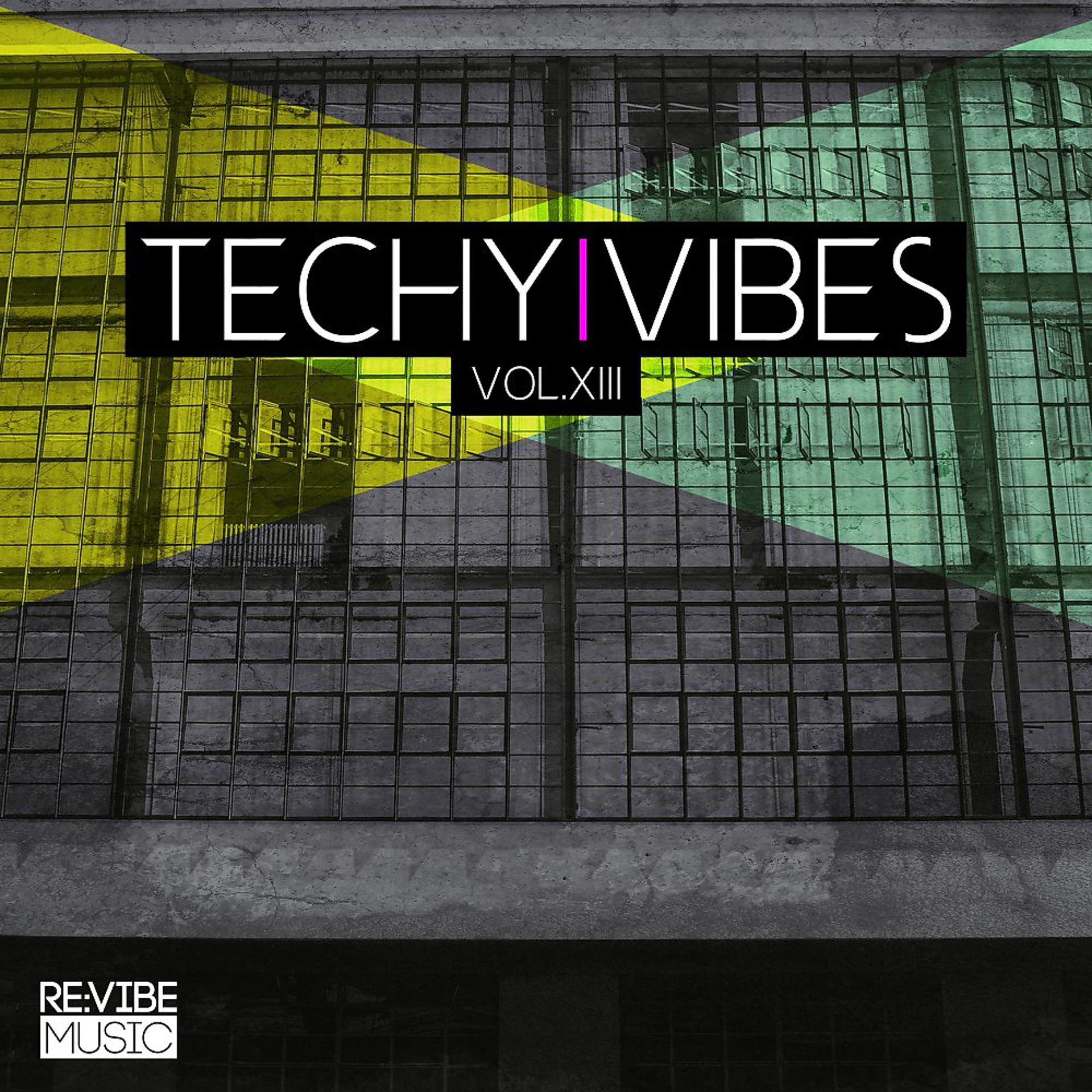 Постер альбома Techy Vibes, Vol. 13