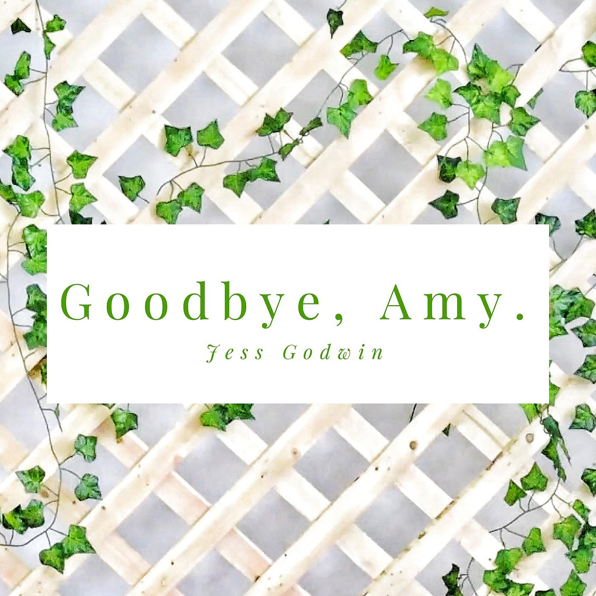 Постер альбома Goodbye Amy
