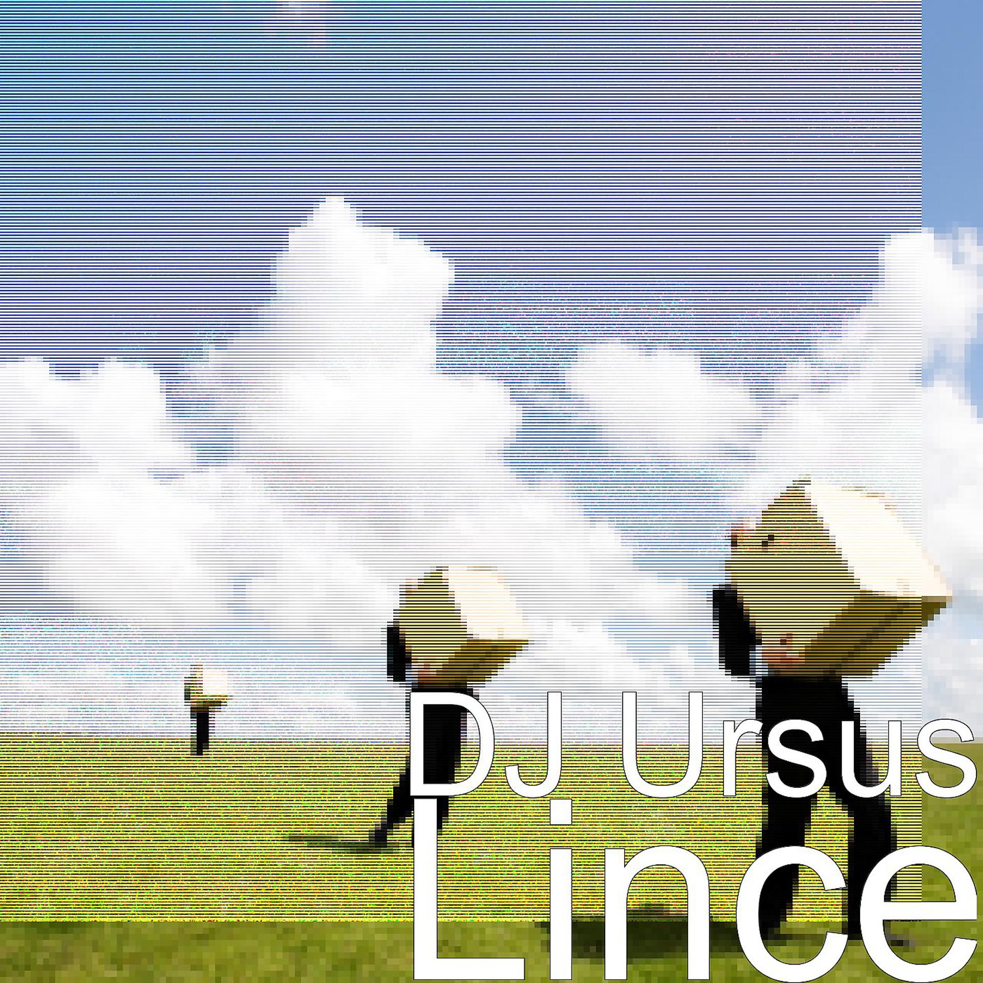 Постер альбома Lince