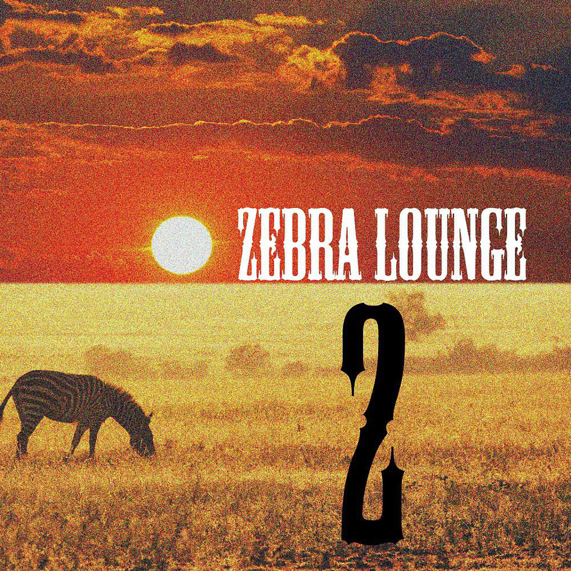 Постер альбома Zebra Lounge 2