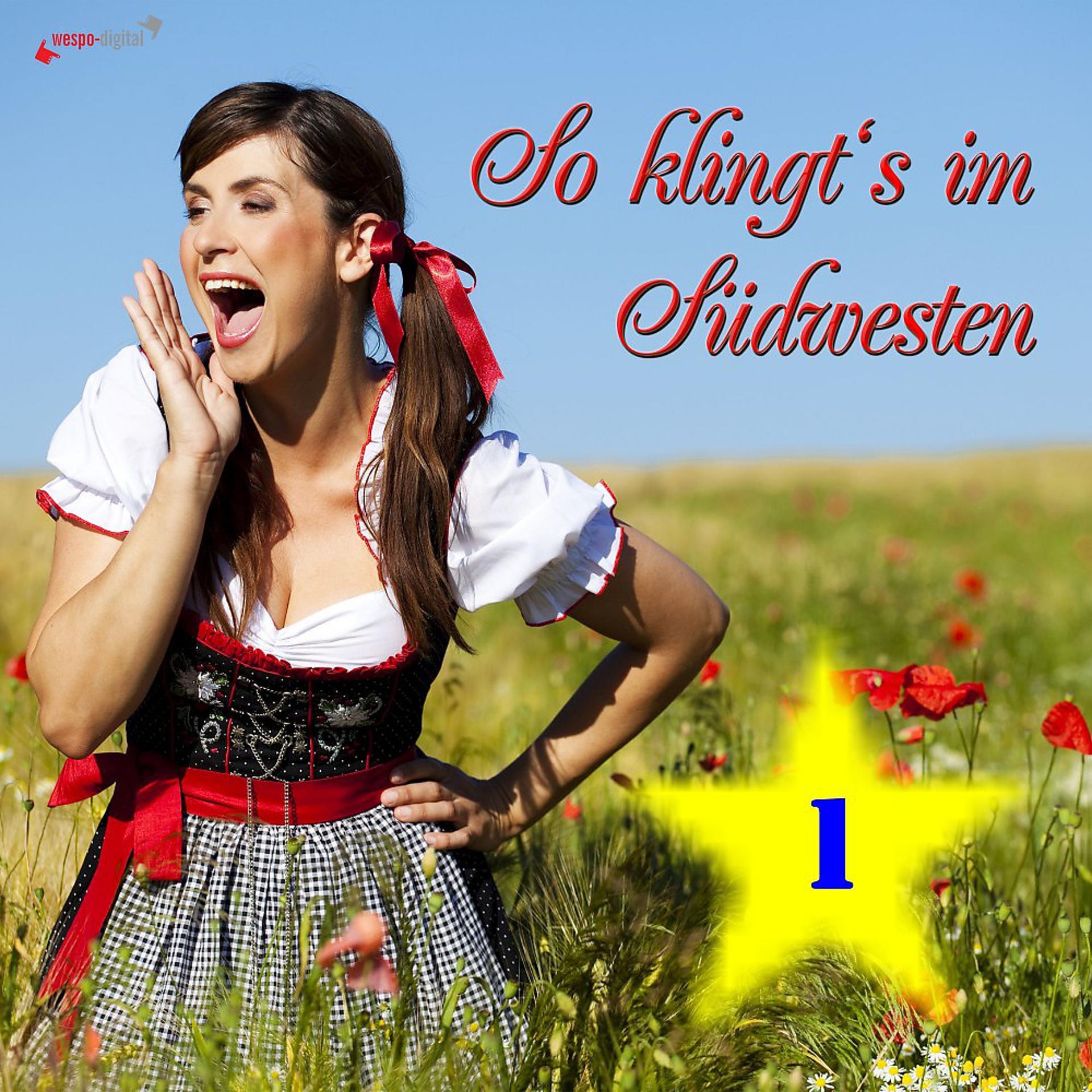 Постер альбома So klingt's im Südwesten (1)