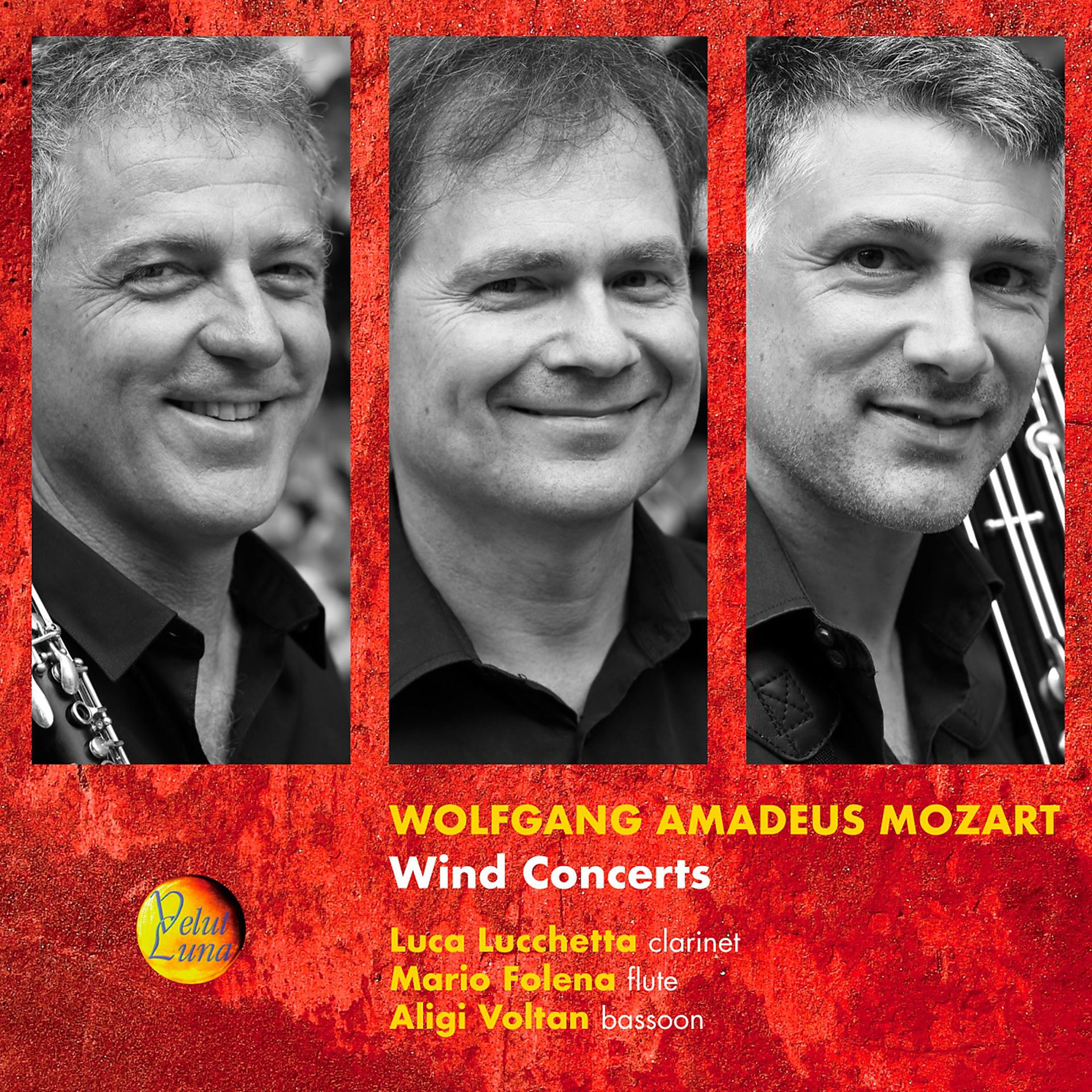 Постер альбома Wolfgang Amadeus Mozart: Wind Concerts