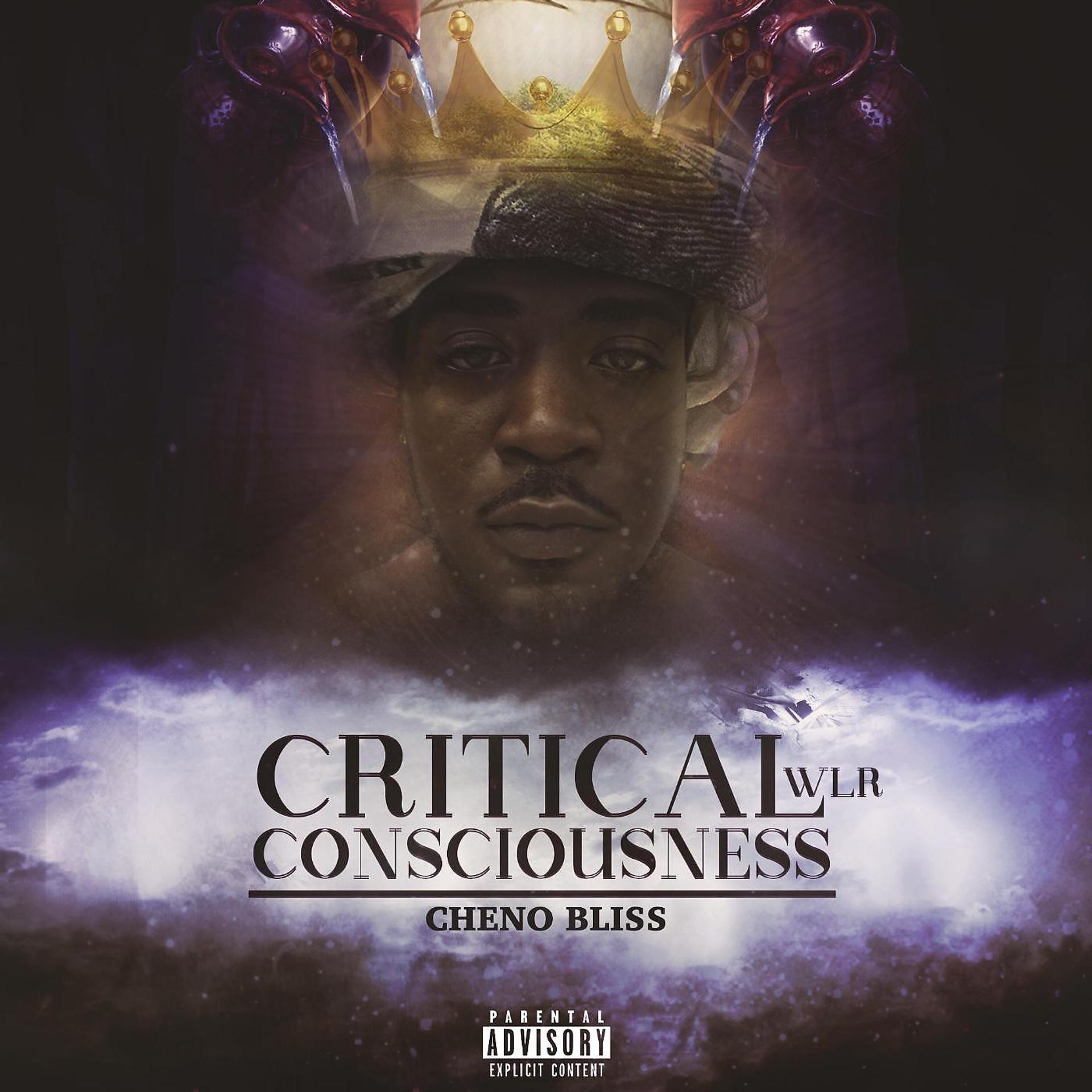 Постер альбома Wlr: Critical Consciousness