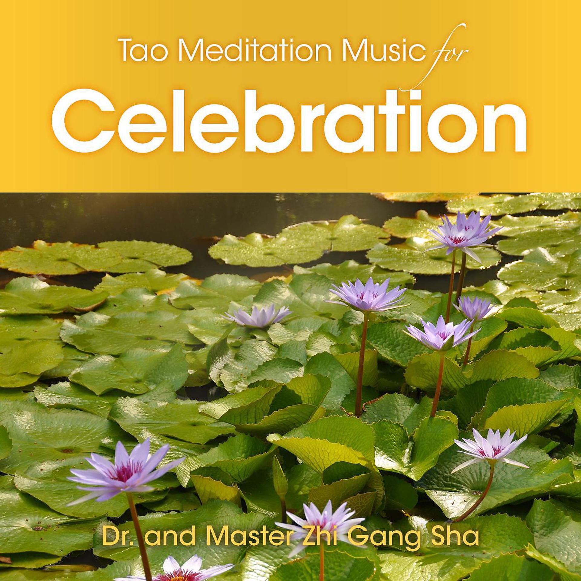Постер альбома Tao Meditation Music for Celebration