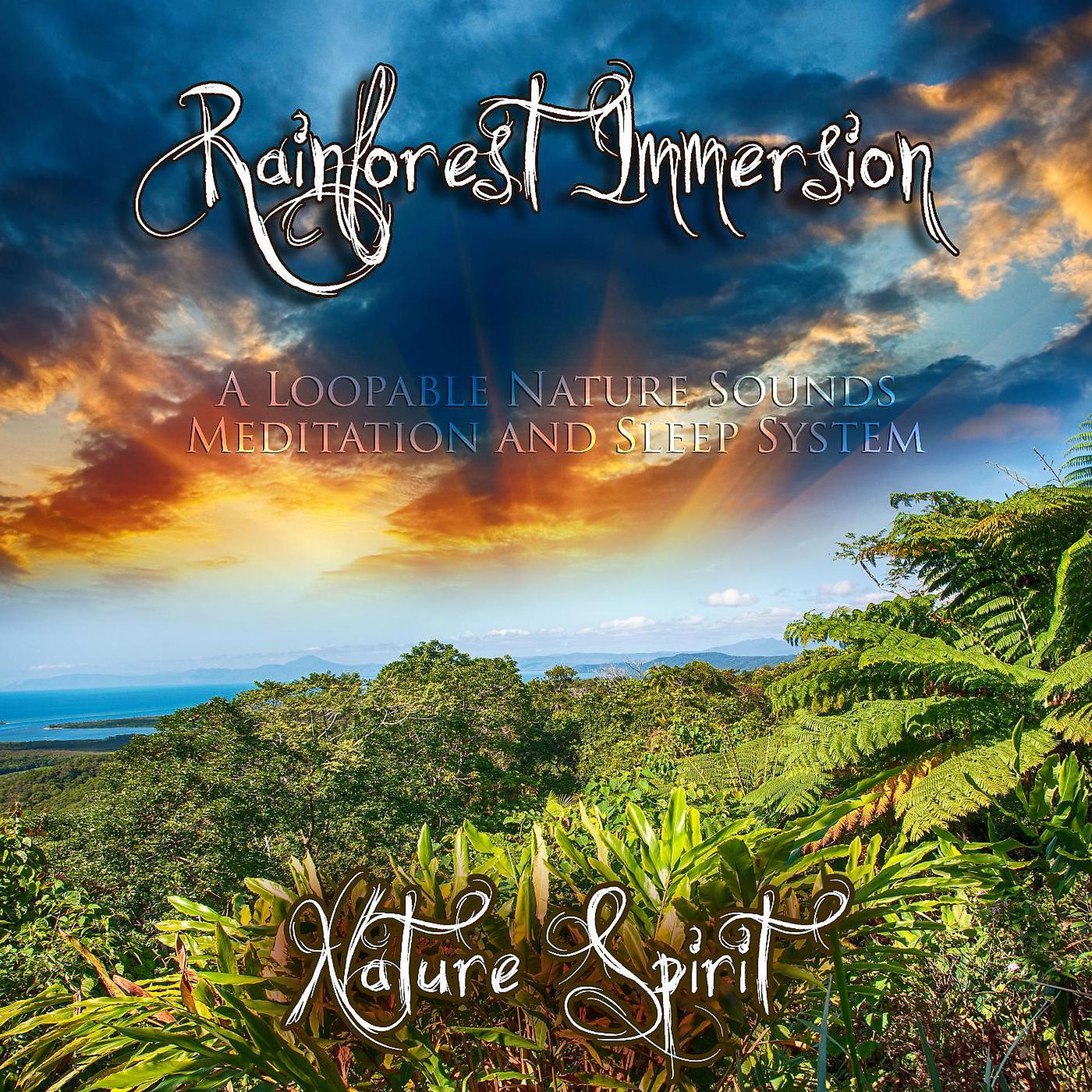 Постер альбома Rainforest Immersion - A Loopable Nature Sounds Meditation and Sleep System