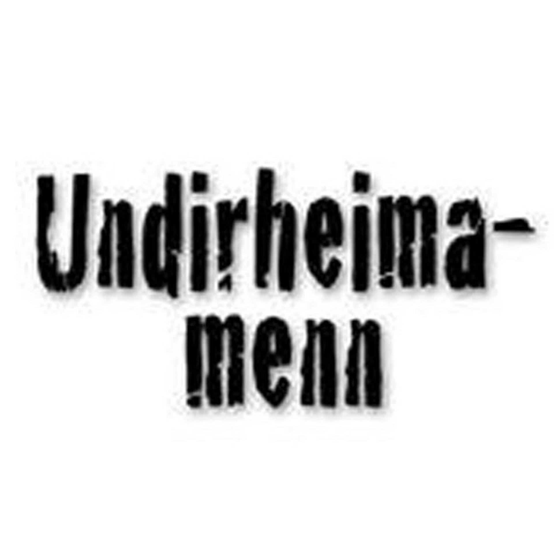Постер альбома Undirheimamenn