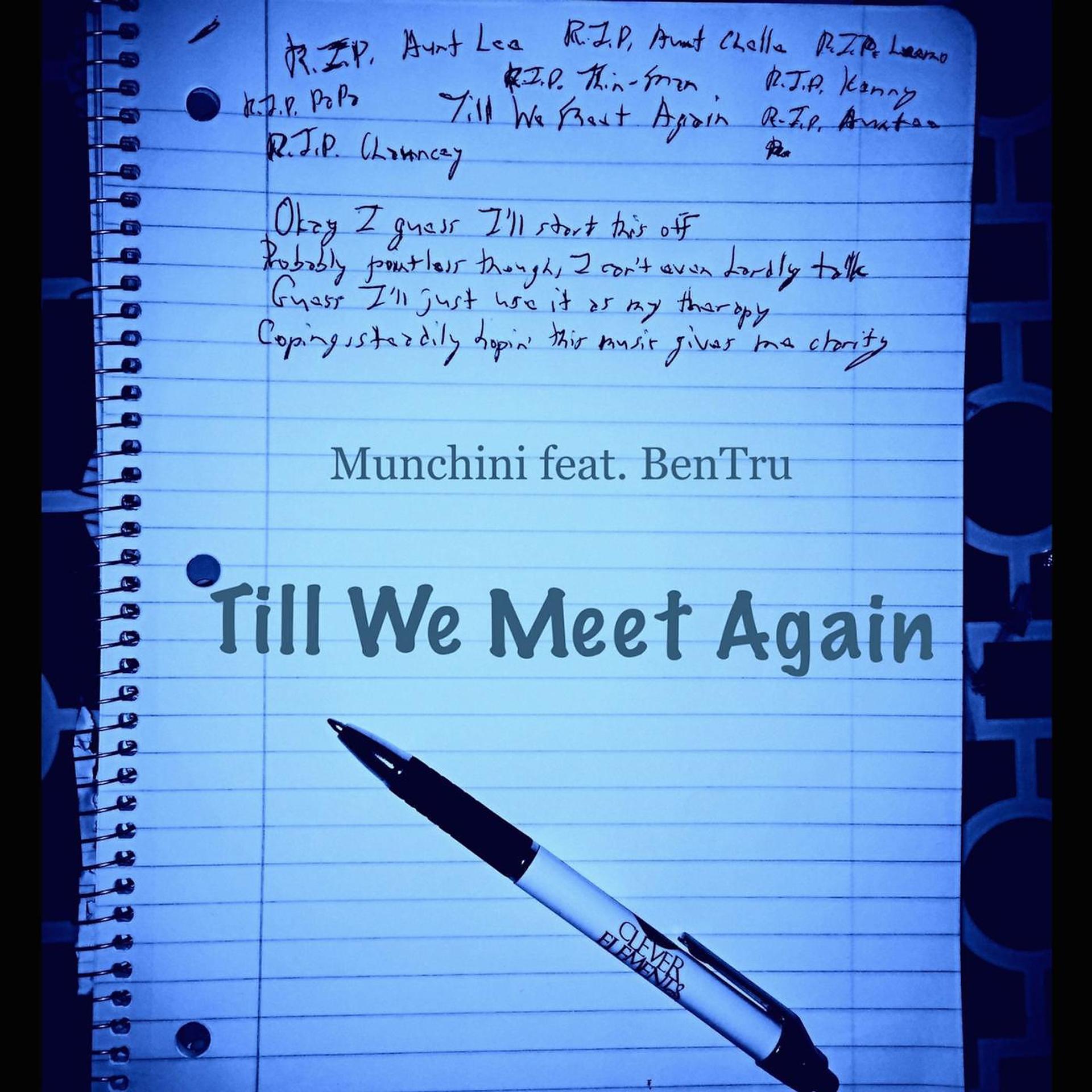 Постер альбома Till We Meet Again (feat. BenTru)