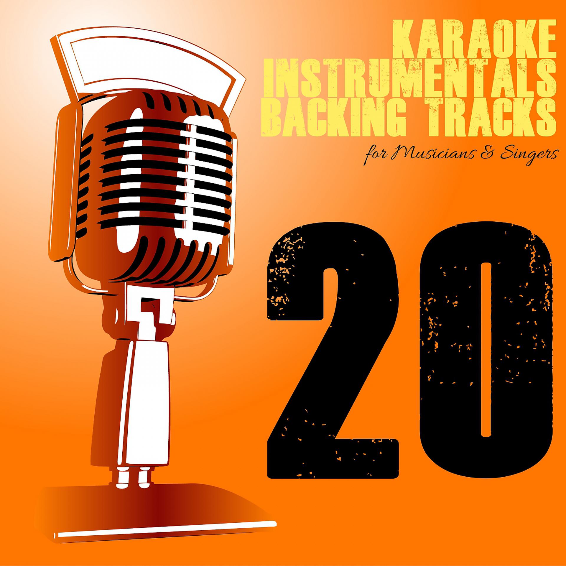 Постер альбома Karaoke, Instrumentals, Backing Tracks, Vol. 20