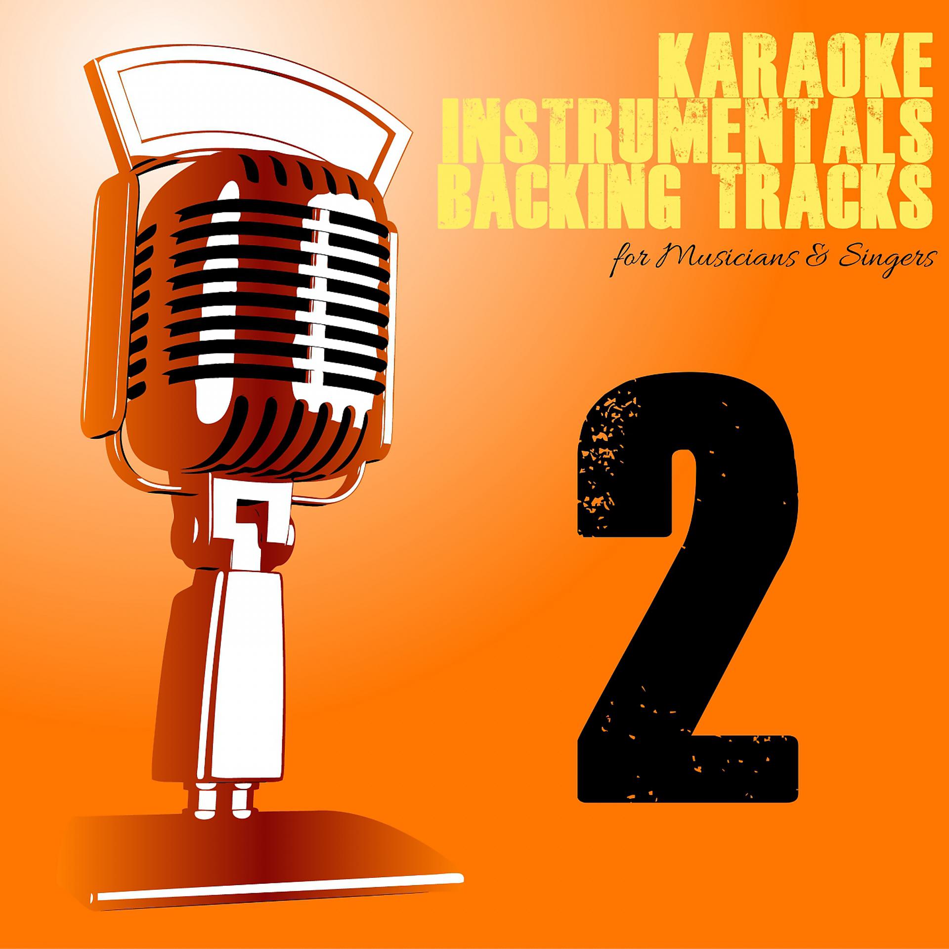 Постер альбома Karaoke, Instrumentals, Backing Tracks, Vol. 2