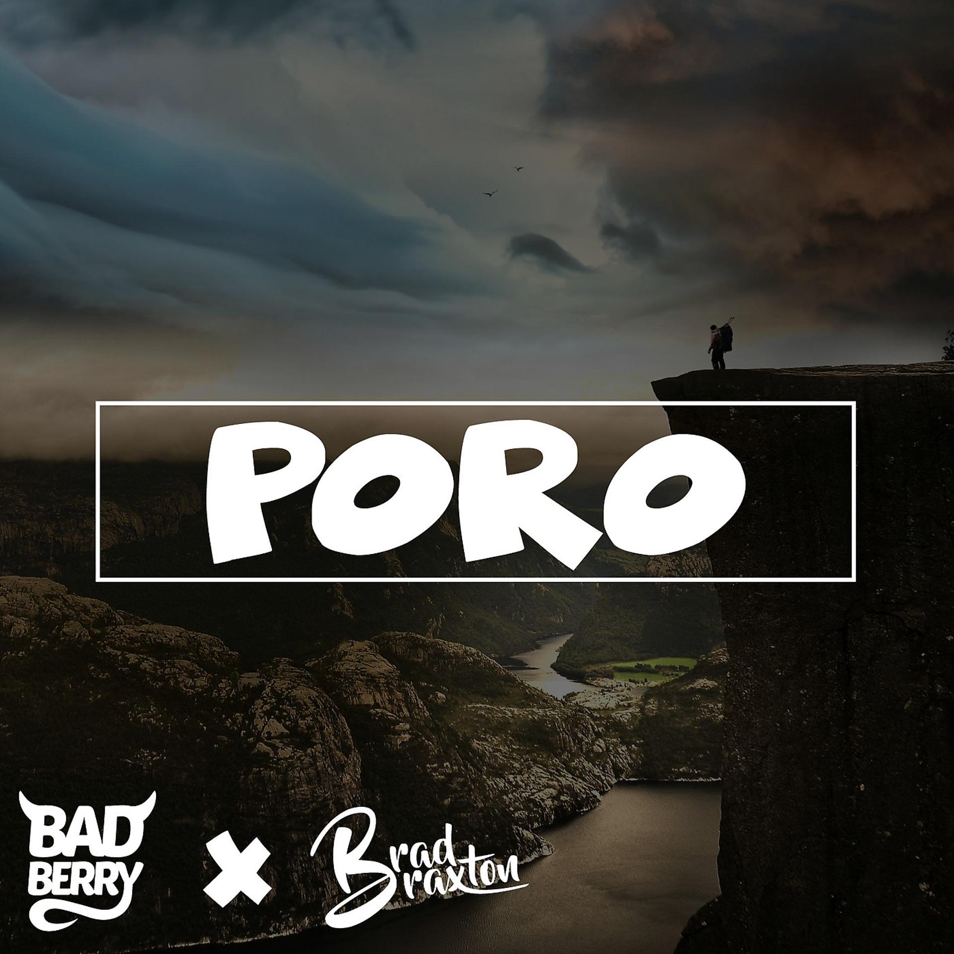 Постер альбома Poro