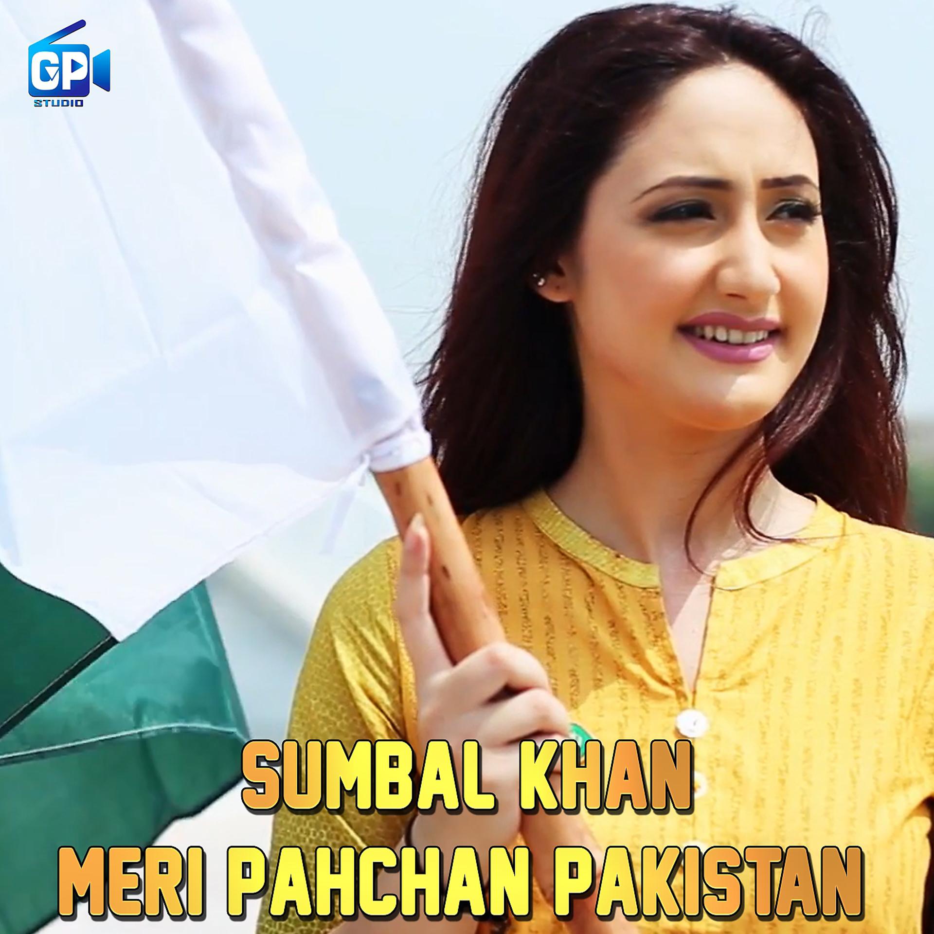 Постер альбома Meri Pahchan Pakistan