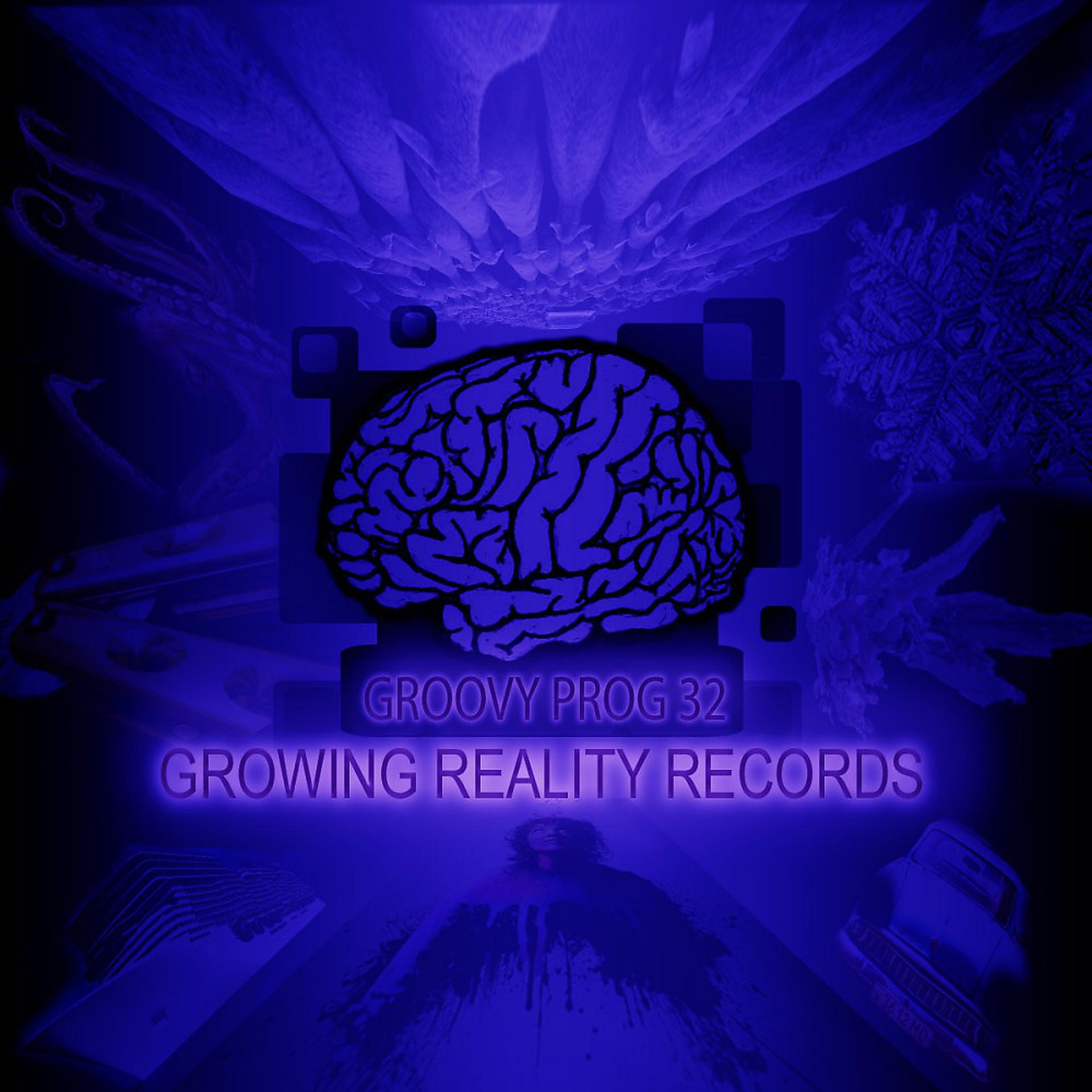 Постер альбома Growing Reality Records Groovy Prog 32