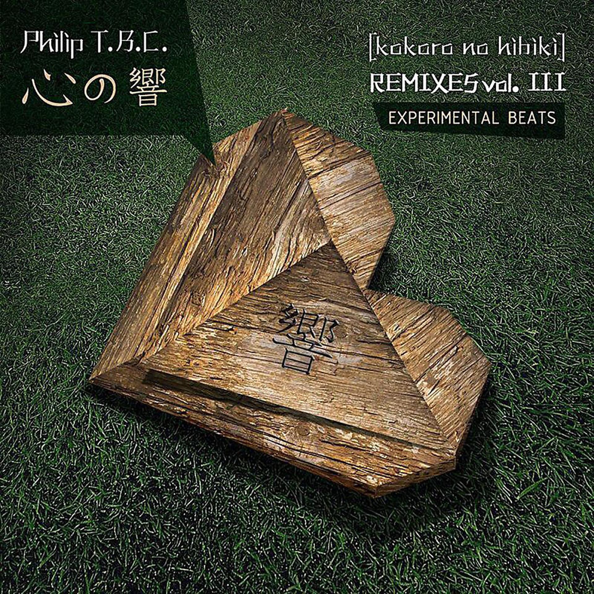 Постер альбома Kokoro No Hibiki Remixes, Vol. 3 (Experimental Beats)