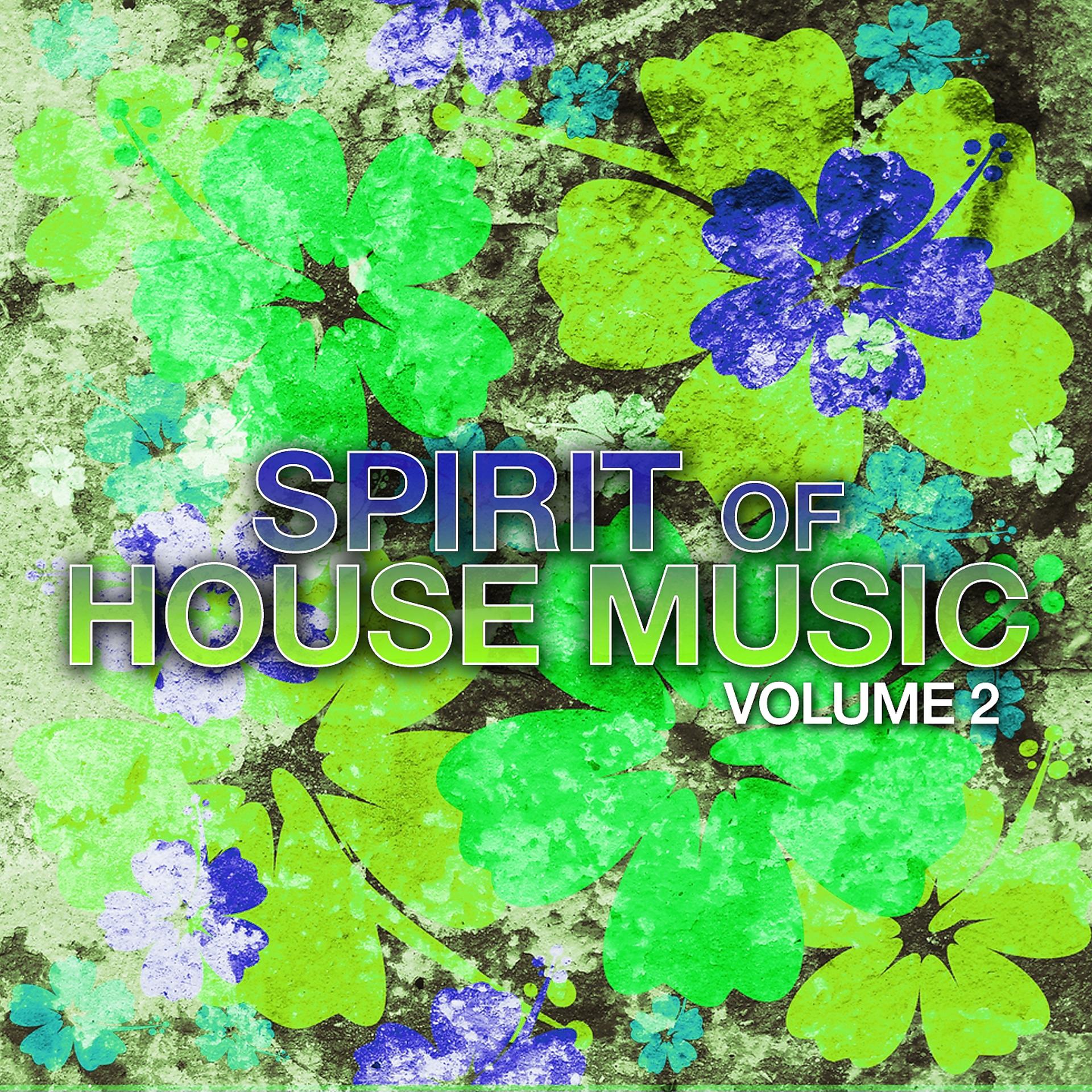Постер альбома Spirit of House Music, Vol. 2