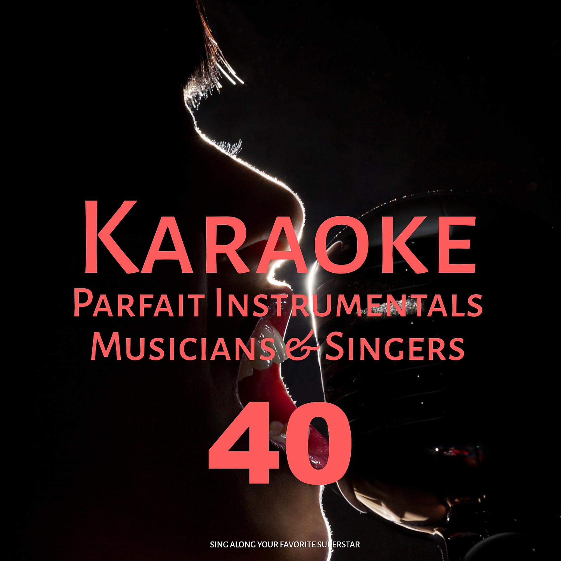 Постер альбома Karaoke Parfait Instrumentals Musicians & Singers, Vol. 40