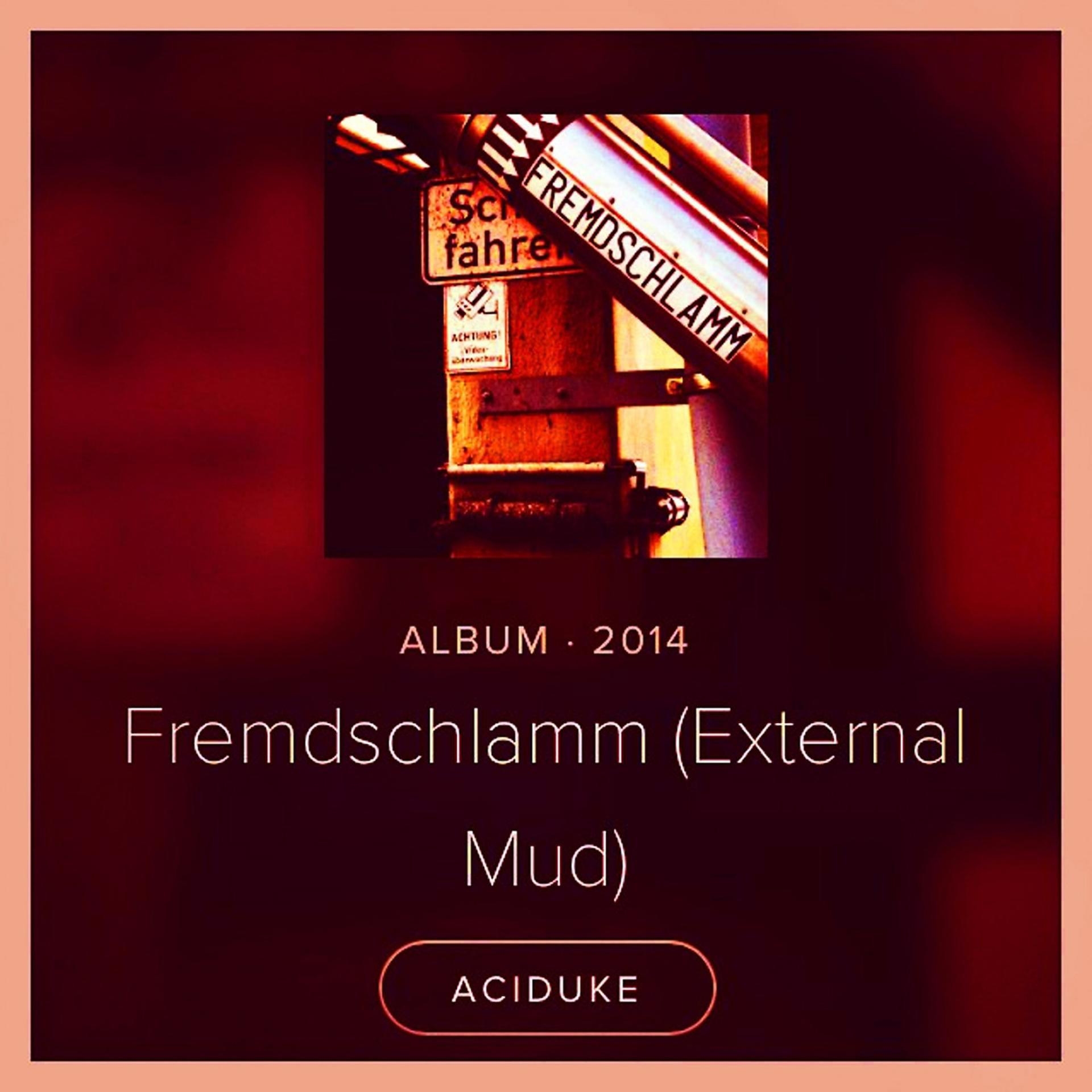 Постер альбома Fremdschlamm (External Mud)