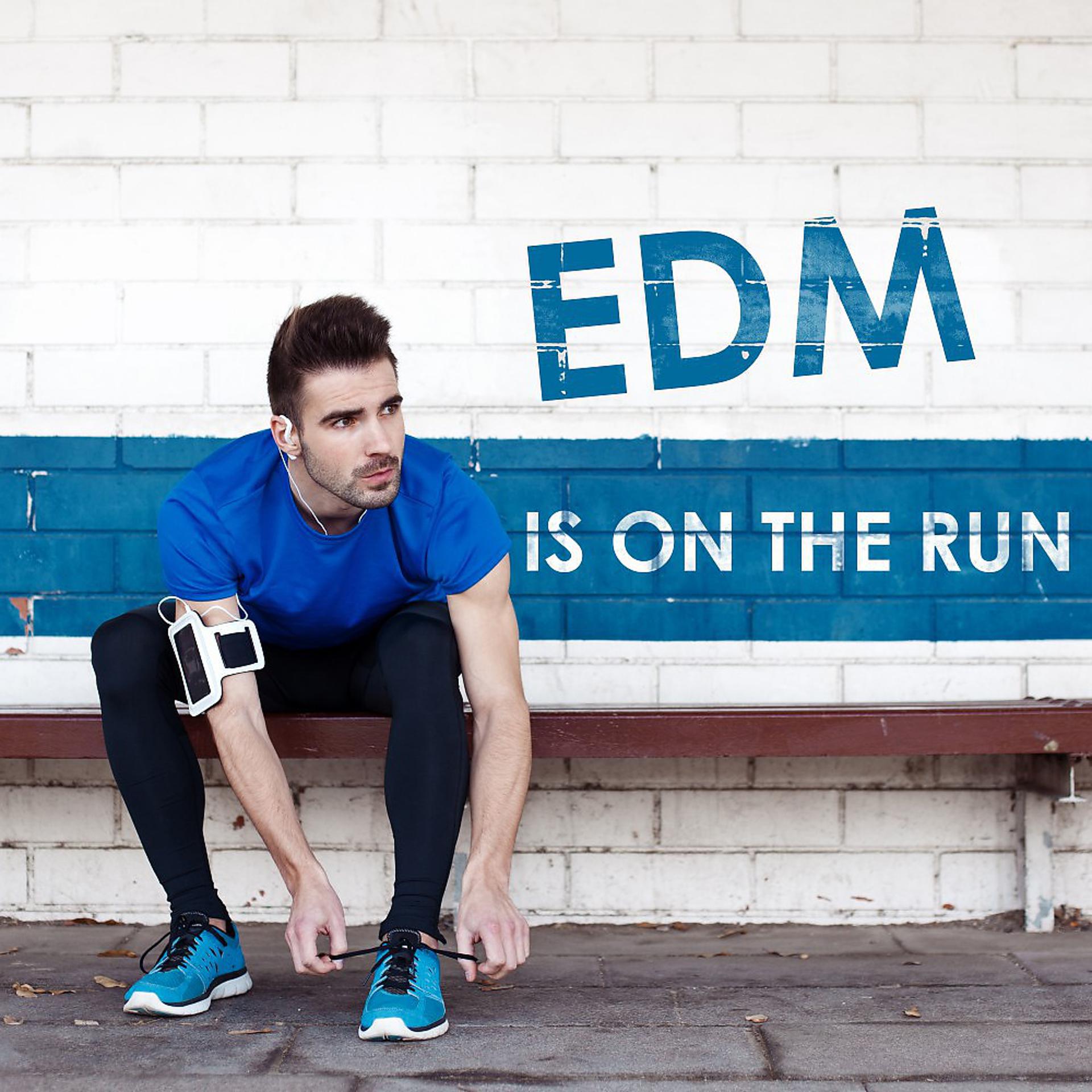 Постер альбома EDM Is on the Run