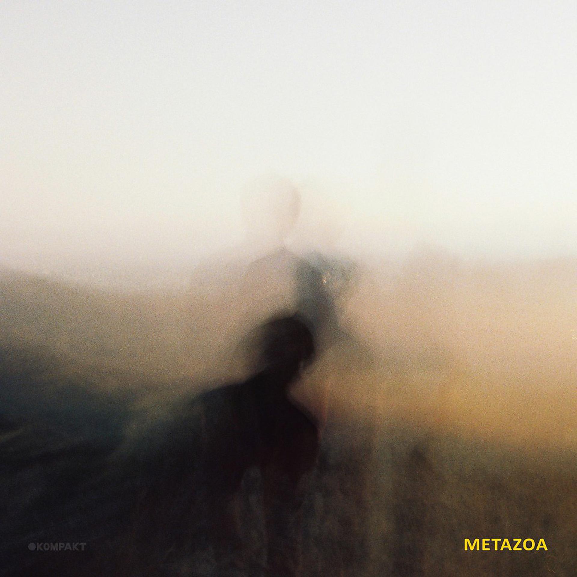 Постер альбома Metazoa