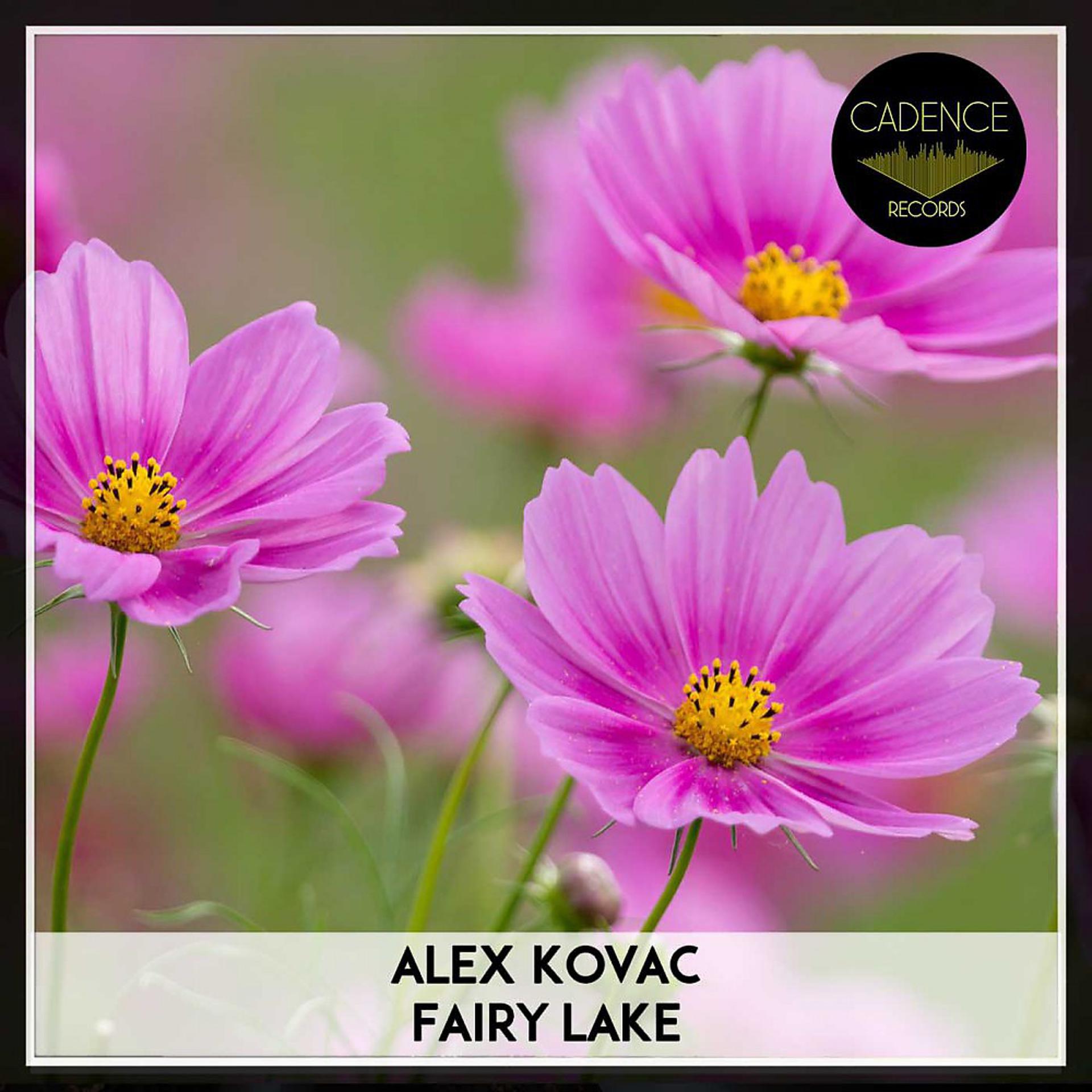 Постер альбома Fairy Lake