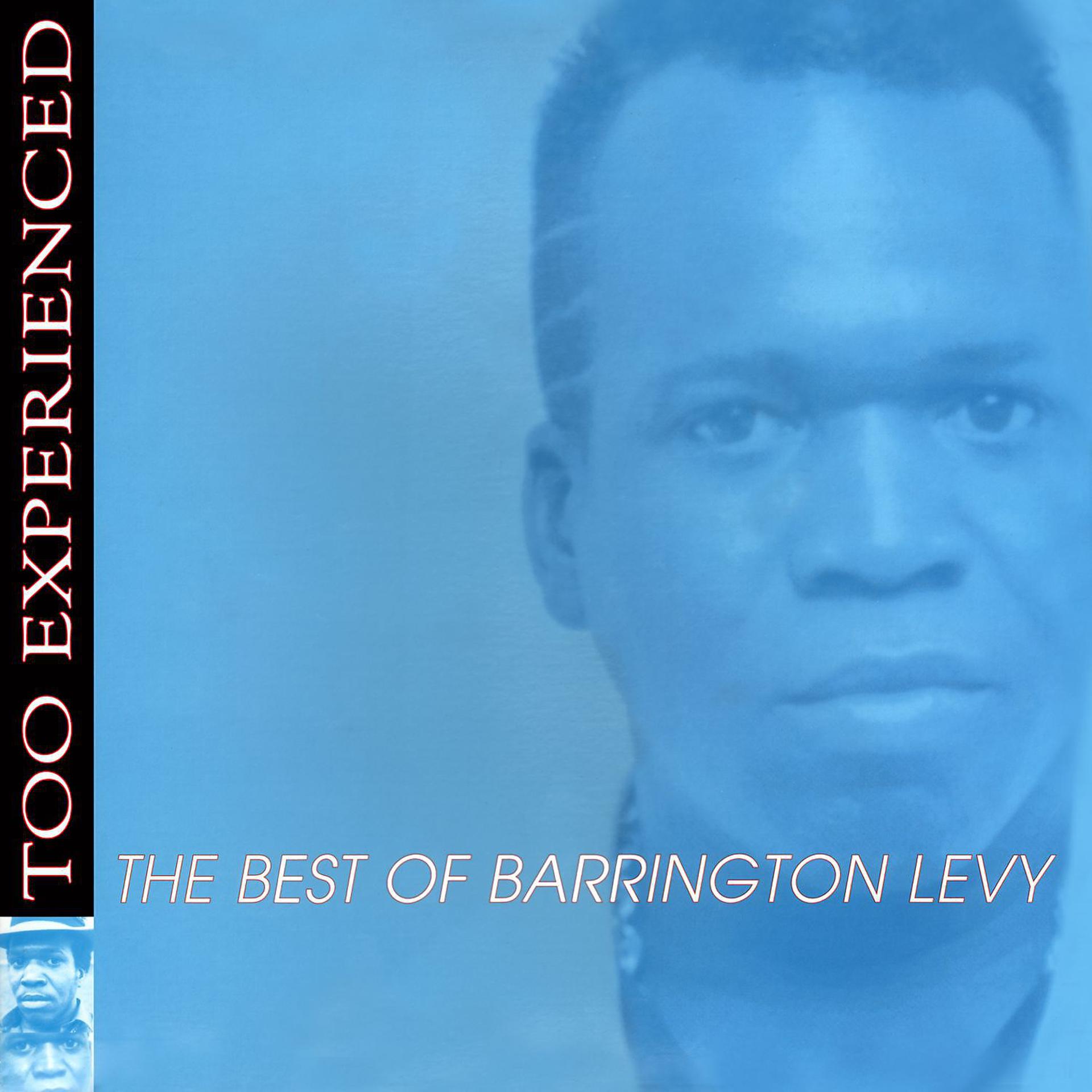 Постер альбома Too Experienced - The Best of Barrington Levy