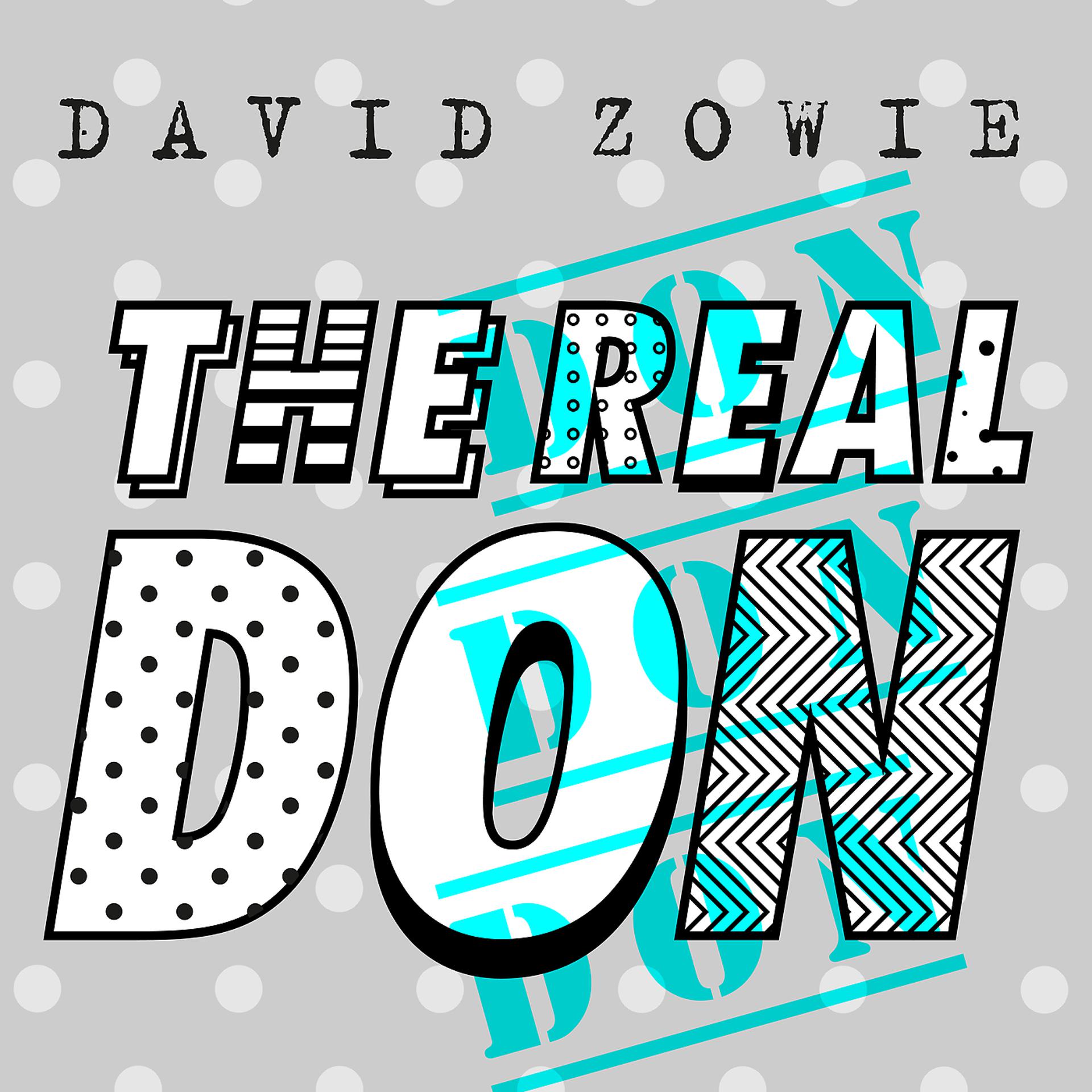 Постер альбома The Real Don
