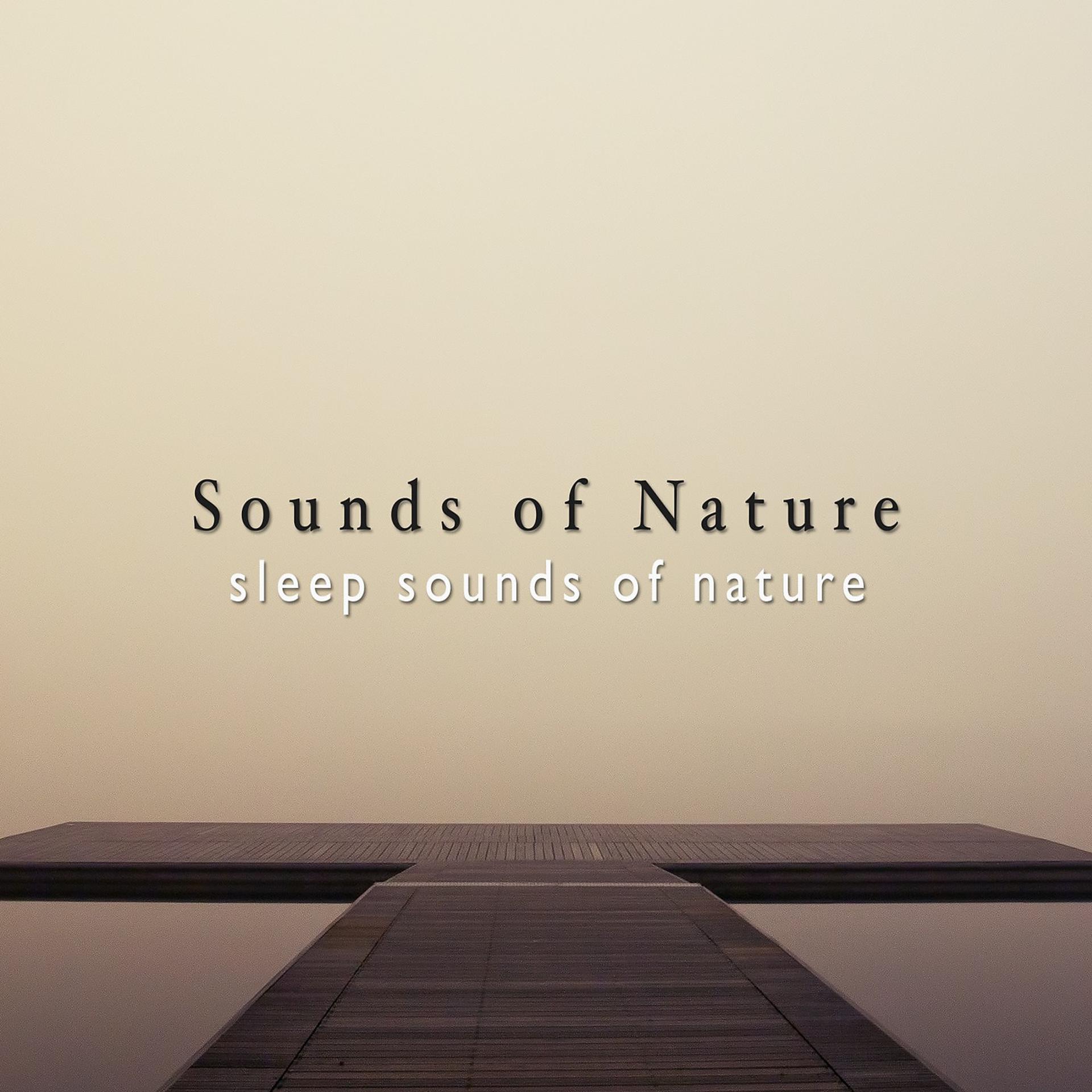 Постер альбома Sleep Sounds of Nature