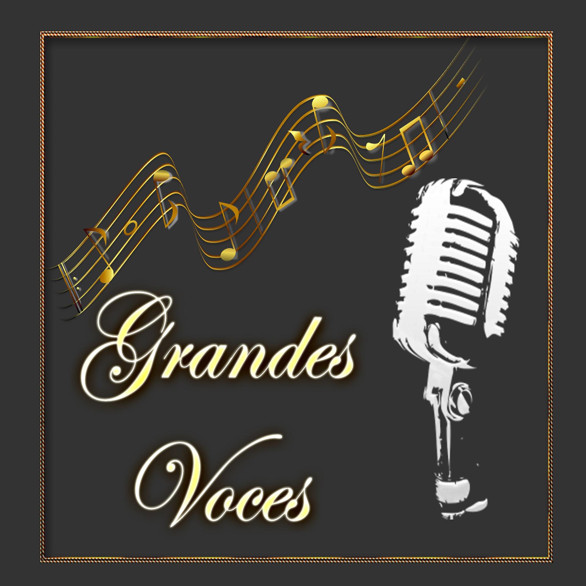 Постер альбома Grandes voces
