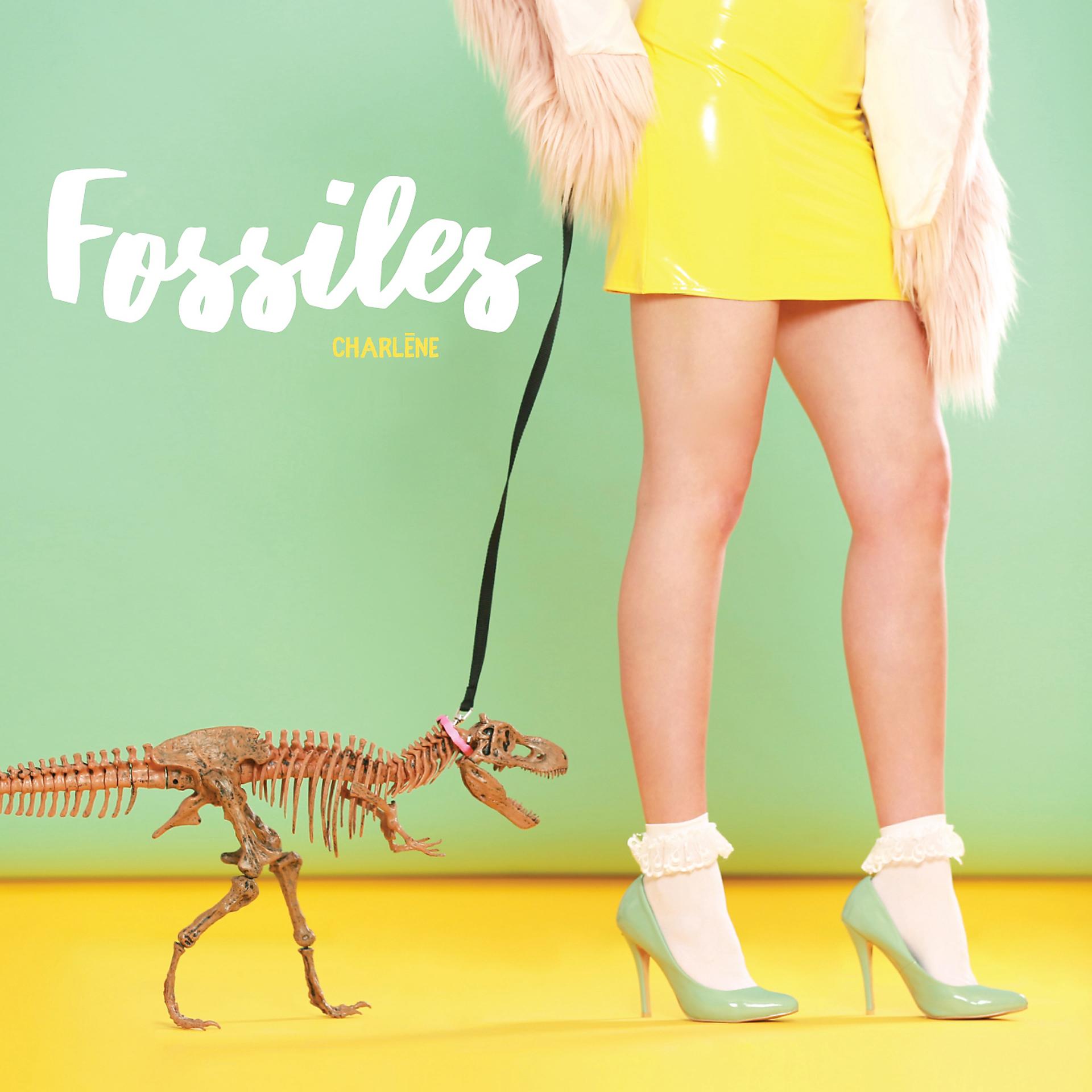 Постер альбома Fossiles