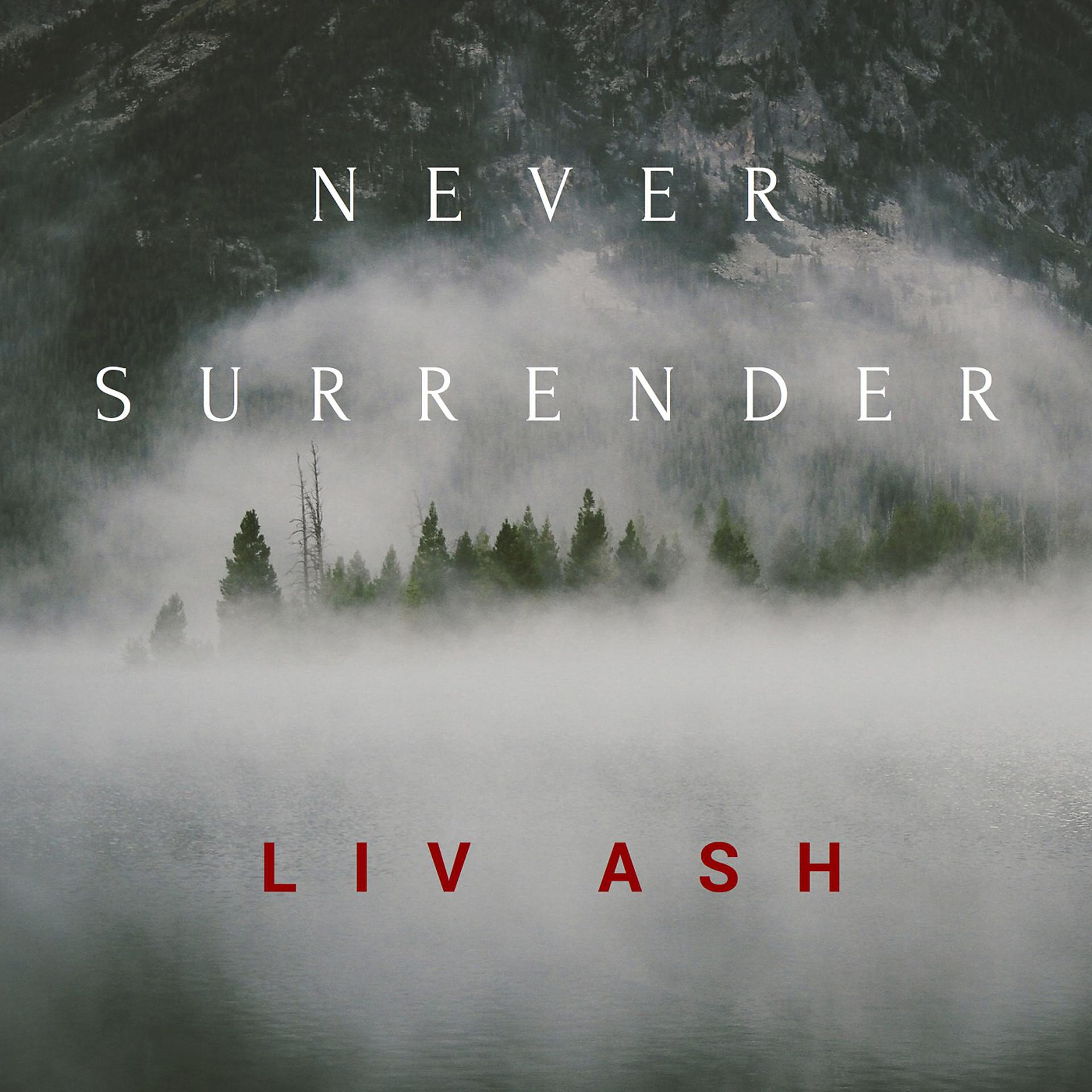 Постер альбома Never Surrender