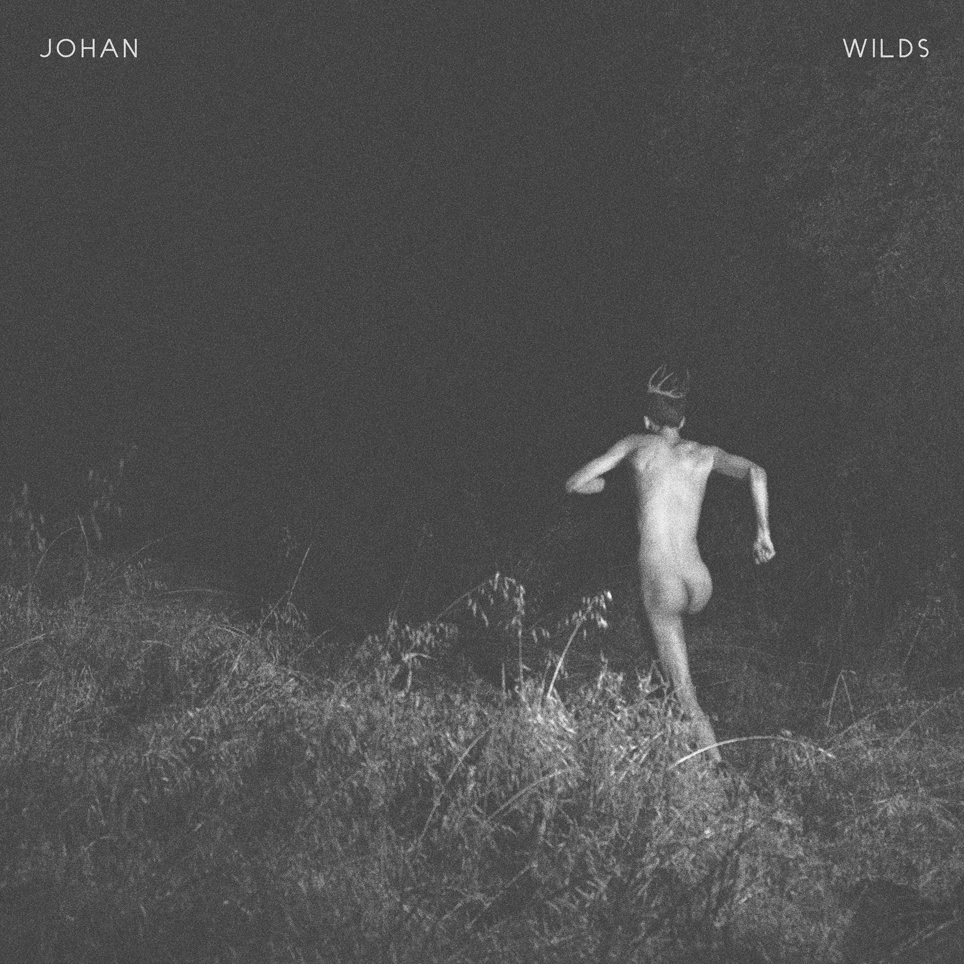 Постер альбома Wilds - EP