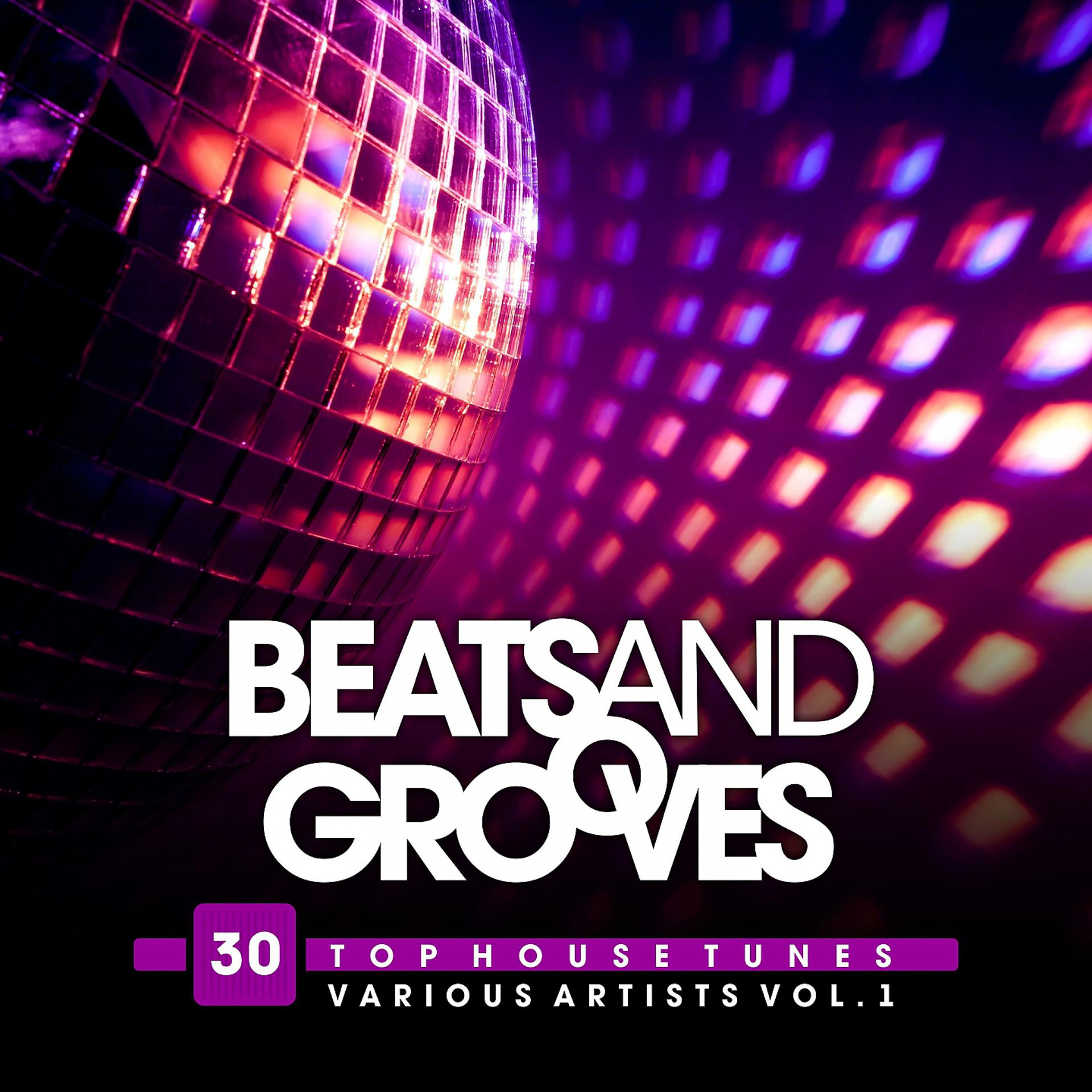 Постер альбома Beats and Grooves (30 Top House Tunes), Vol. 1