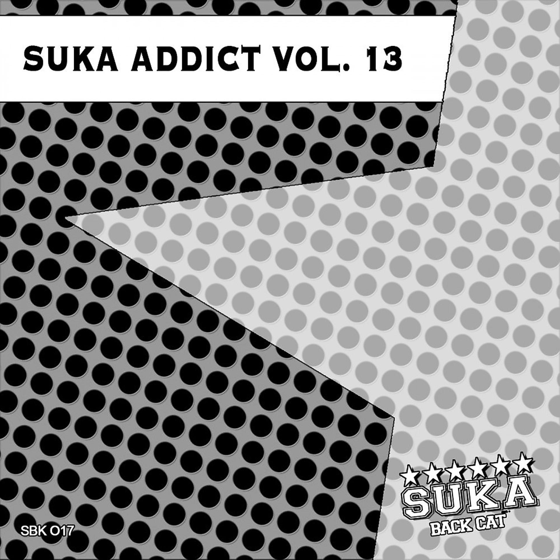 Постер альбома Suka Addict, Vol. 13