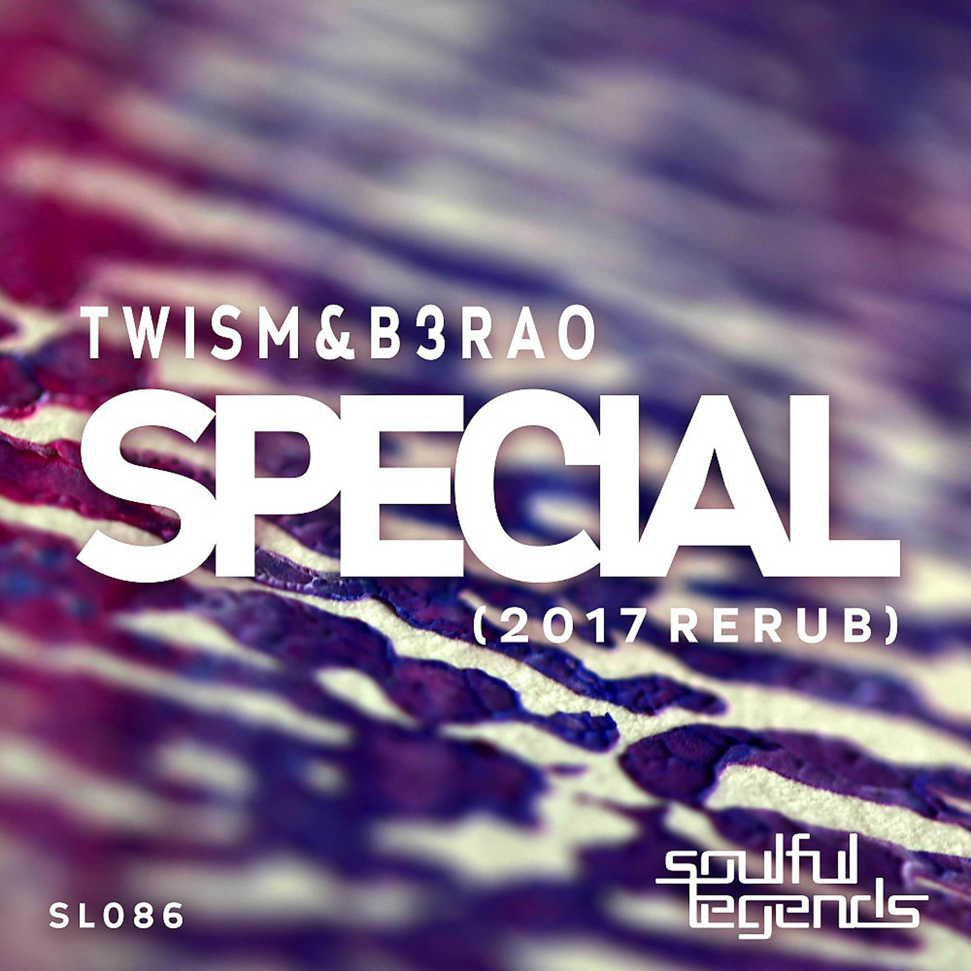 Постер альбома Special (2017 Rerub)