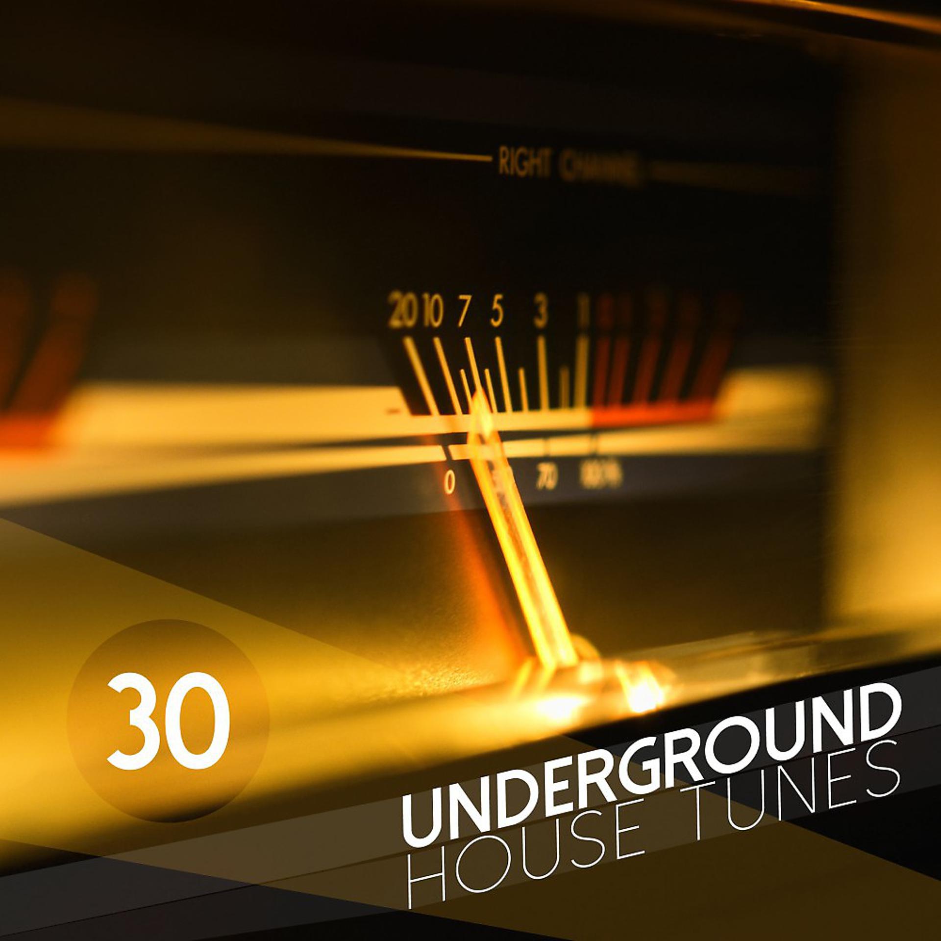 Постер альбома 30 Underground House Tunes