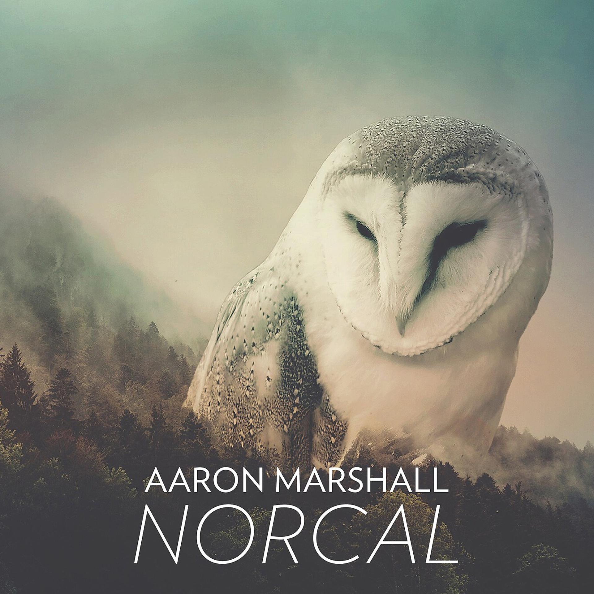 Постер альбома Norcal