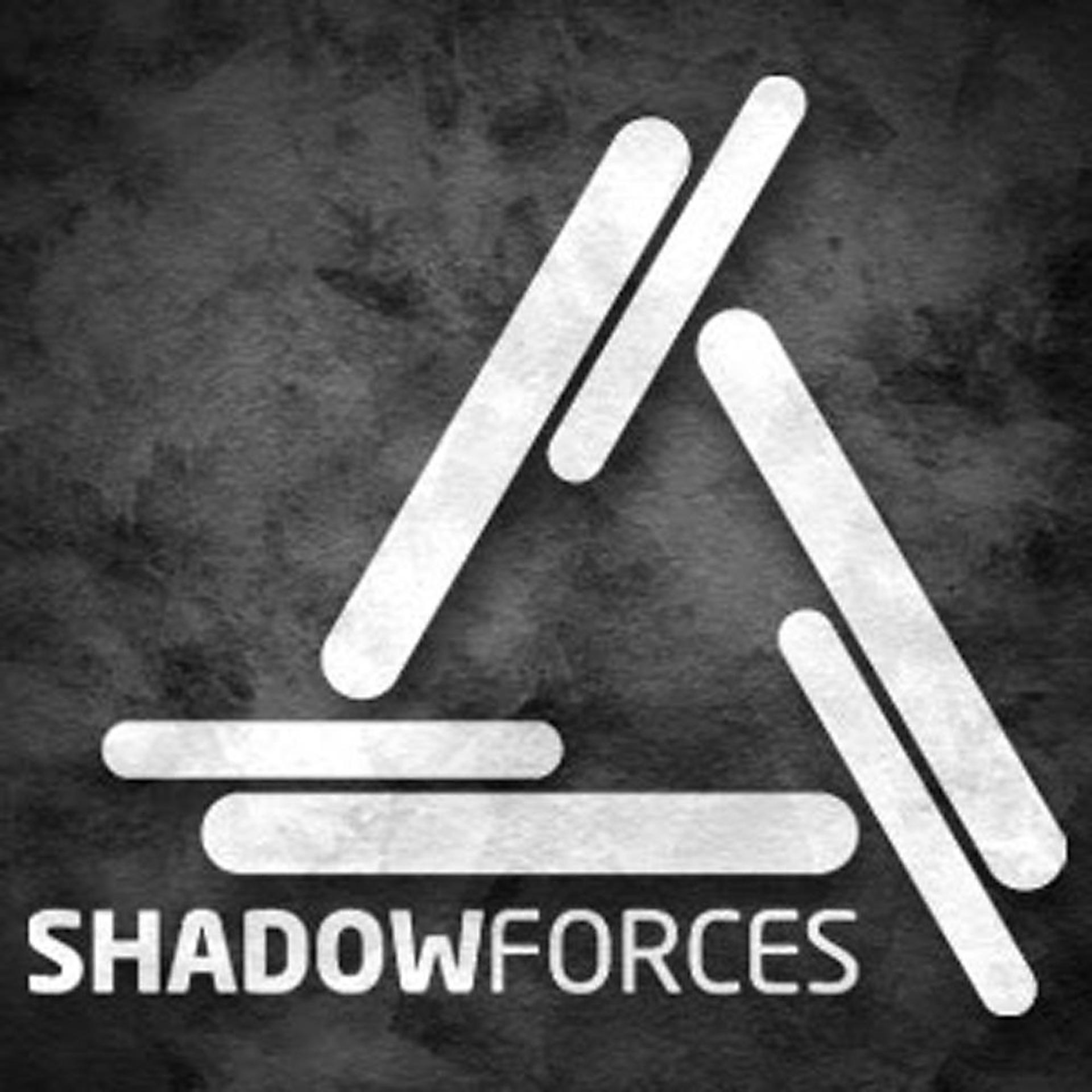 Постер альбома Shadowforces on LP